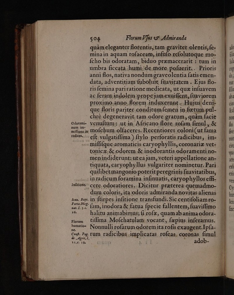 Odorami- num im- miffione itr radices. Ínfitione; foam. Bapt. Porta Mar. aat. l. 3.c. 16, Florum humatio- nc. Conft. Pog. de Agric, L. i1.€. 19. $04. Florum V]us «s* Amir anda quàm eleganter florentis, tam graviter -olentis,fe- minain aquam rofaceam, infüío refolutoque mo- Ícho bis odoratam, biduo pramacerarit : tum in umbra ficcata humi; de more. pofuerit.. Prioris anni flos, nativa nondum graveolentia fatis emen- data, adventitiam fuboluit füavitatem . Ejus flo- ris femina pariratione medicata, ut quz infuavem ac feram indolem prope jam exuiffent, fuaviorem proximo .anno, florem induxerunt . Fiujus deni- que floris pariter conditumfemen in fotum pul- chré degeneravit tam odore gratum, quàm facie venuftum: ,ut in. Africano flore roíam fimul, &amp; moíchum.olfaceres. Recentiores coloni(ut fama eft vulgatiflima ) ftylo perforatis radicibus, im- tonicz,&amp; odorem &amp; inodorantis odoramenti no- menindiderunt: ut ea jam, veteri appellatione an- quilibet mangonio poterit peregrinis fuavitatibus; in radicum foramina infinuatis, caryophyllos effi- cere; odoratiores.. Dicitur praterea quémadmo- dum coloris, ita odoris admiranda novitas alienas in fürpes infitione transfundi. Sic centifoliam ro- halitu animabimus; íi rofx, quam ab anima odora- tifima Moíchatulam: vocant, fzpius.inferamus. Nonnulli rofarum odotem ita rofi 1s exaugent.Ipía- rum radicibus implicatas rofeas, coronas firnul adob-