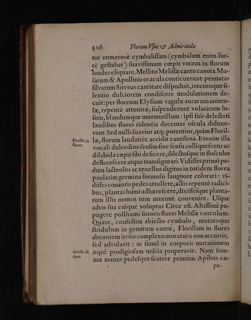 —— flores. Meliffa in Apcs. 516 Florum F]us «7 AAdmiranda tur numerose cymbaliflans (cymbalum enim for- té gcftabat ) fuaviffimam coepit vocem in florum Jaudes eliquare.Mellito Meliffz cantu canora Mu- farum &amp; Apollinis oracula conticuerunt:pennatas filvarum Sirenas cantitare difpuduit;intentoque fi- lentio dulciorem condifcere modulationem de- cuit:per floreum Elyfium vagule aurarum animu- lx, repenté attonitz, fufpenderunt volaticum lu- fum, blandumque murmurillum : ipfi fuis delectati laudibus flores ridentia decenter ofcula diduxe- runt.Sed nulli fuavior atq; potentior,quàm Floril- Iz, florum laudatrix accidit cantilena. Etenim illa vocali dulcedine fenfim fine fenfu colliquefcens ac dilabida czpit fibi deficere, dile&amp;ofque in flofculos deflorefcere atque transfigurari. Vidiffes primó pe- dum la&amp;eolos actenellos digitosin totidem florea paulatim germina formofo languore colorari : vi- diffes conantis pedes attollere; ais repenté radici- bus, plantashumi adharefcere,dixiffefque planta- rum illis nomen tum maximé convenire. Ufque adco fua cuique voluptas Circe eft. Altiffime pu- pugere pofthumi ([ororis flores Meliffe corculum. Quare , confeftim abjecto cymbalo , mutatoque ftridulum in gemitum cantu, Florillam in flores abeuntem irrito complexumoratura non accurrit, fed advolavit : ac fimul in corporis mutationem xqué prodigiofam nefcia properavit. Nam fum- mz manus pedefque fcatere primüm Apibus cz- pe-