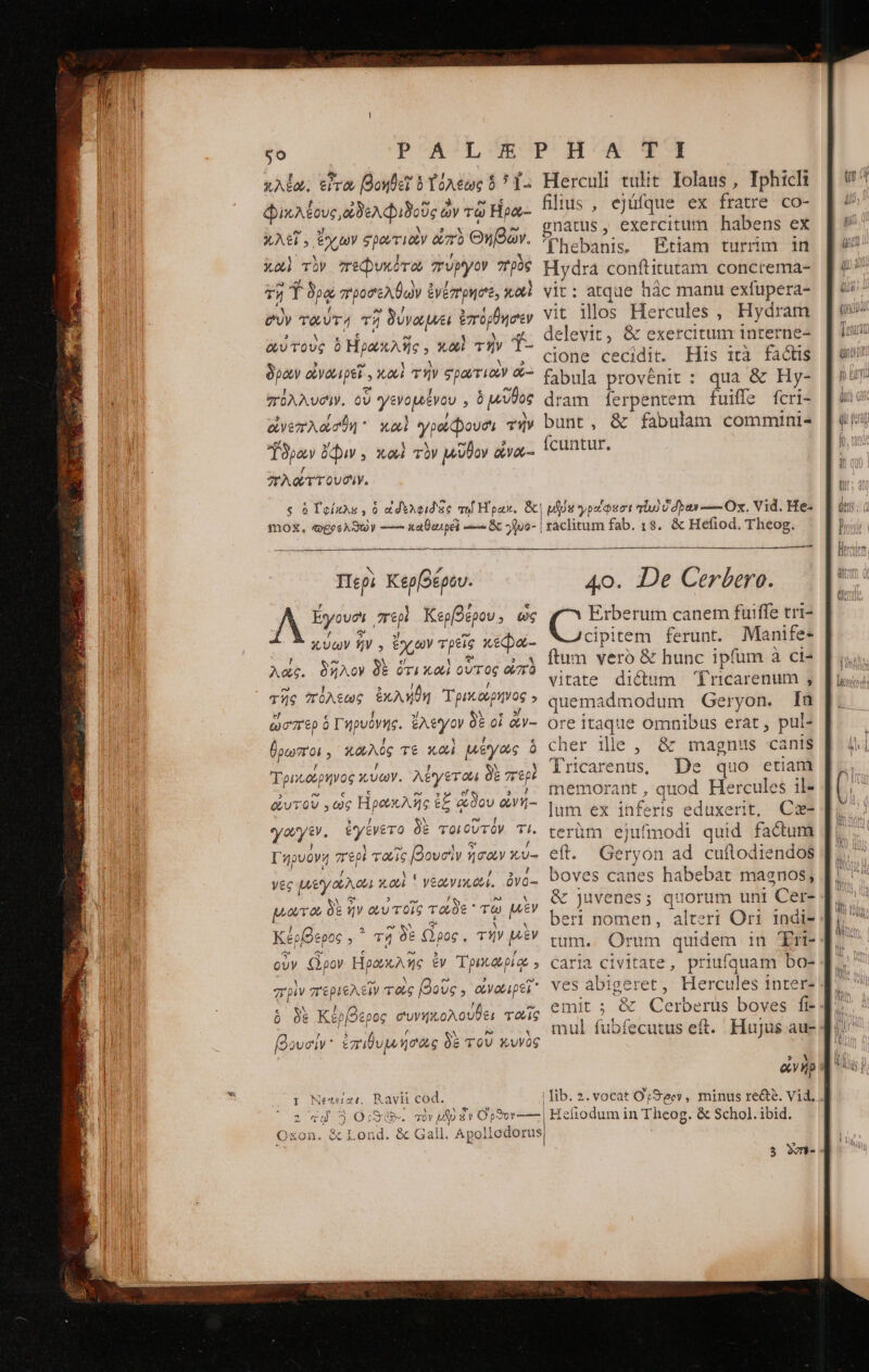 scars αν E vo NRI ue: ER e PETS E μας ζο PALEPHÁA TII καλέω, εἶτα βοηθεῖ b ἡόλέως $7 2 Herculi tulit Iolaus , Tphicl lud add EOM : φικλέους,ἐδελφιδοῦς ὧν τῷ Hpa- filius, ejüfque ex fratre co 93 y πὸ Θηθῶν. Enaus, exercitum habens ex MCI AT UL TNT qii spon. (Thebanis. Etiam turrim in 445. 1X ] N à Meno d πεφυκοτῶ πυργὸν πρὸς Hydra conftitutam concrema- e xu N 5 - ^ - τῇ T δρῷ προσελθὼν ἐνέπρησε, xot. vit: atque hác manu exfupera- / SN? » 1 M ; , σὺν ταύτη τῇ δυνώμει ἐπόρθησεν VIC illos Hercules , Hydram delevit, &amp; exercitum interne- cione cecidit. His ità factis : / 47 fabula provénit : qua &amp; Hy- πολλυσὶν. OU γενομένου , ὁ μῦθος dram ferpentem fuiffe fcri- ἀἰνεπλάσθη καὶ γρώφουσι τὴν bunt, &amp; fabulam commini- Ícuntur. 3 A e € δι N δι avrovg b Ἡρωκλῆς. καὶ τῆν yis T9poev ὄφιν. καὶ τὸν μῦθον ava “πλάττουσιν. s ὃ Τφίκλε, ὃ ἀδελφιδᾶς τῳ Hoax. ὅζ] μῆδε γροίφεσι vba ὃ δρῶν — On. Vid. He- moX, ωρρελϑῶν -— xaÜuipéi —— ὃς γῆοο- | raclitum fab. 18, ὃς Hefiod. Theog. ——À Περὶ Κερβέρου. 4o. De Cerbero. Ἐγουσι περὶ Κερίβέρου. ὡς Erberum canem fuiffe tri- κύων ἦν, ἔχων τρεῖς xecpac- cipitem ferunt. Manife- ftum veró &amp; hunc ipfum à ct- vitate dictum fricarenum , ἦ Noo &amp;4pI$» quemadmodum Geryon. [ἢ ὥσπερ ὃ Γηρυόνης. ἔλεγον δὲ οἱ ἄν-- Ore itaque omnibus erat , pul- θρωποι; χωλός τε καὶ μέγας ὃ cher 116. ὅσ τλᾶρη!ϑ canis (Tricarenus De quo etiam memorant , quod Hercules il- is : 33 lum ex inferis eduxerit, Cx yes. ἐγένετο δὲ τοιουτὸν Ti. terüm ejufmodi quid factum Γηρυόνη “περὶ ταῖς βουσὶν ἡσῶν κύ- eft. Geryon ad cuftodiendos yec μεγώλωι καὶ ' νεωνικουί. ὄνα- edis canes habebat magnos; puovvas δὲ ἣν αὐτοῖς τάδε τῷ μὲν Sod Hus pnus LT UP PPS DLP M H'us t , alteri Ori1 indi- Kéofoepos ; xd δὲ ὥρος. τῆν μὲν ti, Orum quidem in Trt- οὖν ὥρον Ηρωκλῆς ἐν Ὑρριφρίῳ , caria civitate, priufquam bo- ? e is t e 5. ἃ λᾶς. δῆλον δὲ OTI καὶ οὗτος οὐπὸ / [i f ) Y Toncotpivog κύων. λέγεται δὲ περὲ E e [: c e 5 [4 3-7 &amp;vuroV , cc Ηρωκλῆς ἐξ ἄδου ἀνή-- à ; / ob tite x ἘΣ  ! ; 3 ὃ δὲ Kép(Ocpoc συνήκολουθει roig CM 2 € Cerberus boves ἢ finer i ü : δὲ a OA βυυσὶν 871} Up oce &amp; TQU κυνὸς » V e ynp I Newtat, Ravii cod. | lib. z. vocat Ορθ δον. minus re&amp;e. Vid, 1 τῷ 5 OISQN. τὸν μῷ ἂν O;vr—— | Hefiodum in Theog. &amp; Schol. ibid. Oxon. &amp; Lond. &amp; Gall. Apollodorus, 3 ὃσ- (is à (QM Tett Wl qua 9 BUT