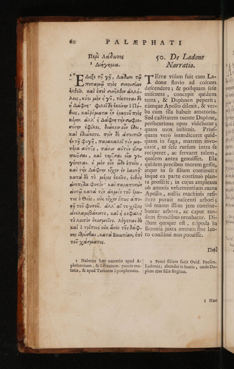 Περὶ Aca ὠνὸς * Αἰιήγημα- ΣΥὟΤῚ Δοξε τῇ γῆ» Λάϑωνι τὼ p “πρὸς συνουσίων ἐλθεῖν, καὶ ἐπεὶ συνῆλθον ἀλλή- λοις «κύει μὲν ἡ γῆ. τίκτεται δὲ 5 Aon : φιλεῖ δὲ ἐκείνην ὃ Ily- θιος, xod ῥήμωτῶ ἣν ἐρωςοῦ πρὸς κόρην. AX ἡ Δάφνη τὴν σωῷρο- evi ἐφίλει, διώκειν οὖν ἔδει, κου ἐδιώκετο. πρὶν δὲ ὠπειπεῖν ἐν τῇ φυγῇ , πωρωκωλεῖ τήν μή- τέρω αὐτῆς, πάλιν αὐτὴν ἐἴσω ποιίῆσωι., καὶ τηρίσοωι οἵω γε- γένηται. ἡ μὲν οὖν ὧδε ἐποίει, yel τὴν Δάφνην εἶχεν ἐν ἑωυτῇ Xora δὲ τὸ μέρος ἐκεῖνο, ἐυθὺς ἐἰνεπηδῶ φυτόν καὶ παρωπεσων QUT κωτοὶ τὴν οὐκμνὴν τοῦ ἔρω- τὸς ὃ Θεὸς οὐκ εἶχεν ὅπως ὦ, πο- s ToU φυτοῦ. &amp;AX αἵτε χεῖρες ὀὠνελωμβώνοντο, καὶ ἡ κεφωλὴ τὸ λοιπὸν ἐκοσμεῖτο. λέγετωι δὲ χαὶ ὁ τρίπους οὐκ ἄνεν τῆς δάφ.-. νῆς ἱδρύσθαι οκωτὸὰ Βοιωτίων, ἐπὶ τοῦ χάσιμῶτος. $0. De Ladone Narratio. Erre vifum fuit cum La- done fluvio ad coitum defcendere ; &amp; poftquam fefe mifcuere , concepit quidem terra, &amp; Daphnen peperit; eámque Apollo dilexit, &amp; Vere ba cum illa habuit amatoria. Sed caítitatem tuente Daphne, perfecutione opus videbatur; quam mox inftituit. — Priuf- quam vero interdiceret quid- quam in fuga, matrem invo- cavit, ut fefe rurfum intra fe reciperet , ac fervaret talem, qualem antea genuiffet. lla quidem precibus morem geffit, atque in fe filiam continuit: Íínque ea parte continuó plan- ta profiliit ; 1n cujus amplexus ob amoris vehementiam ruens Apollo , nullis machinis refi- ftere potuit nafcenti arbori; fed manus illius Jam contine- bantur arbore, ac caput tan- dem frondibus ornabatur. Di- &amp;um quoque eft, tripoda in Dosotia juxta antrum fine lau- ro coníüitul non potuiffe, Πήϊ 2 Penei filiam facit Ovid. Paufan. Ladonis; abundatis]auris , undeDa- phne ejus filia fingitur.