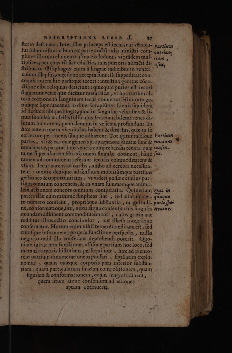 lus fübminiftrat cibum ex patte coctü : alij miniftri com- pluresillorum eluuiem culina excludunt , vie t&amp;dem mul- füibutio. (E ophagus enim à lingua radicibus in ventri- culum illapfus,quecfique accepta funt illi füppeditat: con- coquit autem hic parátque iecori : inteítina genitas cóco- €tione cibi reliquias deiiciunt : quicquid purius eft iecori fugserunt venz ove dicütur hoelbrsiLe ; vt hoc rurfum al- tera coctione in anguinem iecur conuertat. Hinc ojta ge- niraque fuperuacanea in diuer(a rapiütur. Lienis fiquidem id deducit fibíque iungit;quod in fanguine velur fex &amp; l1- mus fubfideba: : fellisfolliculus fecretam bilem:tenes di- lutum humorem;quem demum in veficam profundunt. In hzc autém opera vias ductas habent &amp; directas, quz in fe tamen ad communem referunt iecoris commoditatenr &amp; vfum. Iecur autem ad cordis , ambo ad cerebri neceffita- tem : omnia denique ad fenfum mobiliámque partium geftiones &amp; opportunitates , vt videti poffit eximius par- tiüm omaium concentus, &amp; in vnam fummámgue anima- quandam adhibent commoditatein toti , cuius gratia aut redditur illius actio concinnior , aut illeía inteoraque conferuatur. Horum enim nihil temeré conditum eft , fed cuiufque inftrumenti propría functione perfpecta , nullo negotio quid illa conferant deprehendi poterit. Quo- niam igitur non functiones vfüfque partium hocloco, fed meram corporis hiftoriam perfequimur , hzc ad plenio- rem partium dinumeractonem praefati , figillatim expla- nemus , quam quxque corporis pars interior fubítan- tiam , quam particularum fuarum compofitionem ; quam figuram &amp; conformationem , quam magnitudinoan ; - quem fitum atque confenfum ad actiones aptum obtinucrig