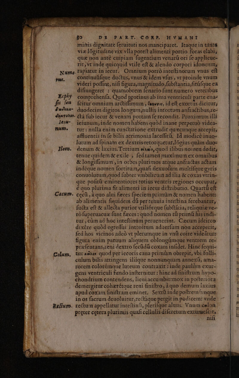 . h VL t j————— MÓÓà e E OC * | DE PART. CORP HYMANI miris dignitate feruituti nos manciparet, Itaque in táritá viae logitudine vix vlla poteft alimenti portio foras elabi; que non anté cuipiam fugentium venarü ori fe applicue- rit, vt inde quicquid vtile eft &amp; alendo corpori idoneum; Nue. Fapiatur in iecur. Omnium porró inteftinorum vnus eft continuüfque ductus, vnus &amp; idem vfus ; vt proinde vnum videri poffint, nifi figuraÁmagnitudo,fübftantia;fitüfque ea J4edixa-. duodecim digitos longum;nullis intortum anfractibus,re- duxTvMY- CLà fub iecur &amp; venani portam fe recondit. Proximmm illi lei-. ieiunum;inde nomen habens quód inane perpetuo videa- 8H. — tur: nulla enim cunctatione extrudit quecunque accepit; affluentis in fe bilis acrimonia laceffitü, Id niodicé inuo- lutum ad fpinam ex dextrisretorquetut;lóoius quàm duo- Jleon. denum &amp; laxius. Tertium ese», quod ilibus noinen dedit; tenue quidem &amp; exile ; fedtamen niaximum ex omnibus &amp; longiffimum , in orbes plurimos atque anfra&amp;us actum indéque nomen fortitum,quafi lexuolum multífque gyris conuolutum;quod fabter vmbilicum ad ilia &amp; cóxas vtrin- jue pofitü' eminentiores totius ventris regiones occupat, é quo plurima fit alimenti ir 1ecur diftributio. Quart eft Catttt5. cecü , à quo alui feces fpeciem primüm &amp; nomen habent: ab alimentis fiquidem dü per tenuia inteftina ferebantur, fuc&amp;ta eft &amp; allecta purior vtiliórque fubftitia; reliquiz ve- ró fuperuacuz funt feces : quod nomen tá primü his indi- tur , cum ad hoc inteftinim peruenerint.. Czcum idcirco dixére quód egreflüi introitum adaerfum non acceperit, fed hos vicinos adeó vt plerumque in vnü coire videatur: figura enim paruum aliquem oblongümque ventrem re- prafentans,reni dextro fecüdü coxam infider. Hinc fequi- Colum, türxeAw quod per iecoris caua primtün obrepit, ybi folli- culum bilis attingens iliíque nonnunquam annextt, ama- rorem colorémque luteum contraxit : inde paulüm exur- gens ventriculi fundo infternitur : hincad finiftrum hy»o- chondrium contendens, lieniaccumbit:mox 1n pofteriora demergitur cohzrétque reni finiftro; àquo demum laxius apud coxam finiftram eminet. Sextü inde poftrem^mque in os facrum deuoluitur,rectáque pergit in podicem: vnde Re&amp;ium. rectum appellatur inteftinit plerifque aluus. Vnum calon preter cetera plurimis quafi cellulis difcretum extumefcit; nifi