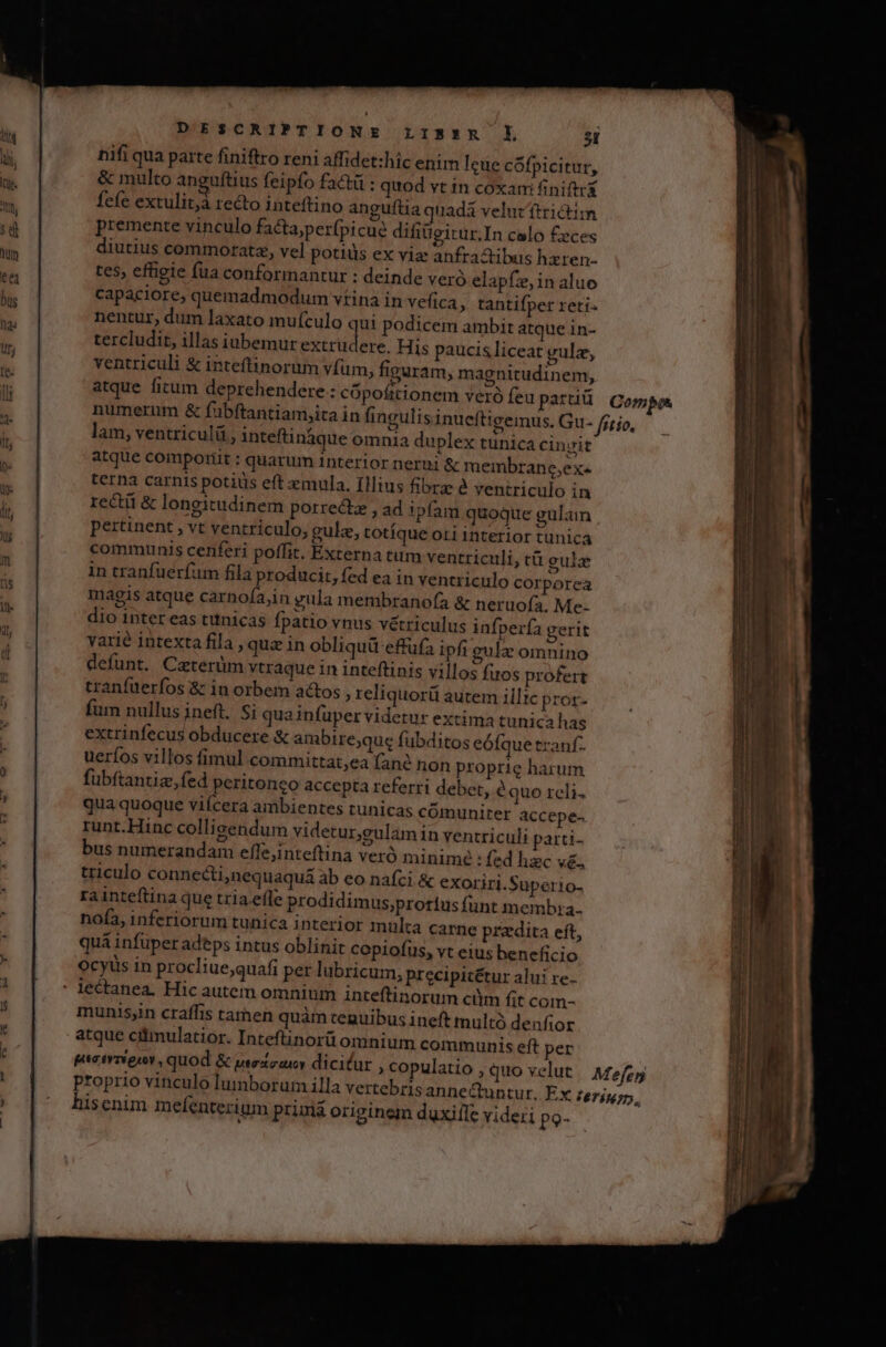 nifi qua parte finiftro reni affidet:hic enim leue cófpicitur, &amp; multo aneguftius feipfo factü : quod vt tn coxam finiftrX fefe extulit;à recto inteftino anguftia quadá velut ftrictim premente vinculo facta;perfpicue difiügitur.In calo £eces diutius commoratz, vel potius ex viz anfra&amp;ibus hzren- tes, effigie fua conformantur : deinde veró elapfz, in aluo capaciore, quemadmodum vtina in vefica, tantifper reti. nentur, dum laxato mufculo qui podicem ambit atque in- tercludit, illas iubemur beer pus His paucis|liceat gulz, ventriculi &amp; inteftinorum vfüm, figuram, magnitudinem, atque fitum deprehendere: cópofttionem veró feu partiü lam, ventriculü, inteftináque omnia duplex tunica cinyit atque comporiit : quarum interior nerui &amp; membrane;ex-« terna carnis potius eft mula. Ilius fibrz à ventriculo in rectii &amp; longitudinem porrectz , ad ipíam quoque gulam pertinent , vt ventriculo, gulz, totíque oti interior tunica communis cenferi poffit. Externa tum ventriculi, cü gula in tranfuerfum fila producit, fed ea in ventriculo corporea magis atque carnofa,in gula membranofa &amp; neruofa. Me- dio inter eas tttnicas fpatio vnus vétriculus infperfa gerit varie intexta fila , qua in obliquü effüfa ipfi eulz omnino defunt. Caterüm vtraque in inteftinis villos fuos profert tranfuerfos &amp; in orbem actos » reliquorü autem illic pror- fum nullus ineft. Si qua infuper videtur extima tunica has extrinfecus obducere &amp; ambire;que fubditos eóíque tranf- ueríos villos fimul committat,ea fané non proprie harum fübftantiz, fed peritonco accepta referri debet, à quo rcli; qua quoque vifcera ambientes tunicas comuniter accepe- runt.Hinc collisendum videtur,gulam in ventriculi parti- bus numerandam effejinteftina veró minimé : fed hzc vé triculo connecti,nequaquá ab eo nafci &amp; exoriri.Superio- rainteftina que tria efle prodidimus,proríus funt membra. nofa, inferiorum tunica interior multa carne praedita eft, quá infuper adeps intus oblinit copiofus, vt eius beneficio ocyus tn procliue;quafi per lubricum, precipitétur alui re- munisjin craffis tamen quàm tenuibus ineft multó denfior atque cimulatior. Inteftinorü omnium communis eft per Compos hiscnim mefenterium primá originem duxifle videri po-