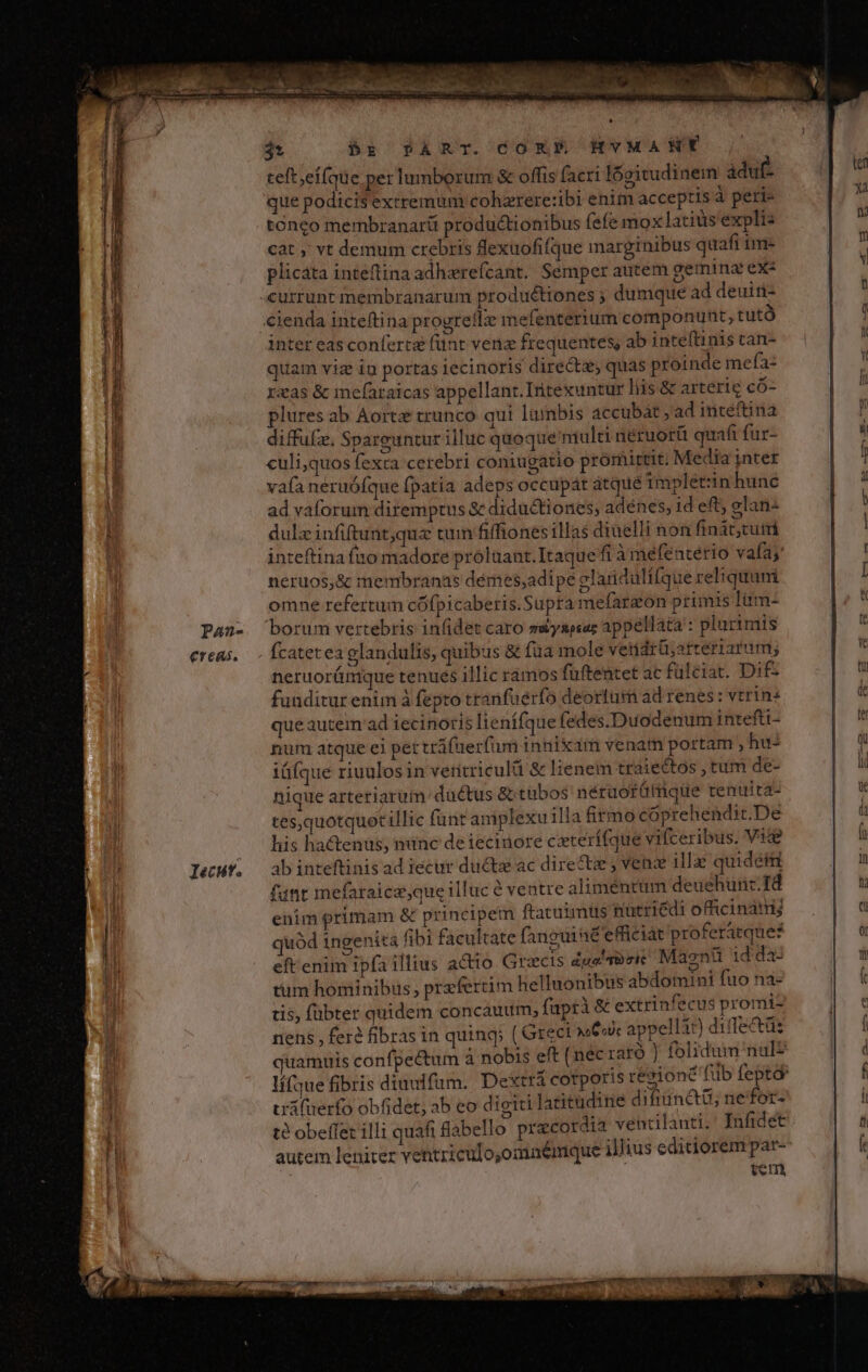 RARE a ail a NM: 3t br PART. CORP HYVMANTYT teft;eífque per lumborum &amp; offis facri lóeitudinem àduf- que podicis extremum cohzrere:ibi enim acceptis à peri- tóneo membranaríi productionibus fefe mox latius explis cat ; vt demum crebris flexuofifque marginibus quafi im- plicata inteftina adhzrefcant. Semper autem gemina exz «currunt membranarum productiones ; dumque ad deuin- .cienda inteftina progreflz mefenterium componunt, tutà inter eas conferta fünt vena frequentes, ab inteftinis can- quam viz ia portas Iecinoris directas quas proinde mefa- rzas &amp; mefaraicas appellant. Irtexuntur liis &amp; arteric có- plures ab Aortz trunco qui lüinbis accubát , ad inteftina diffule, Spareuntur illuc quoque niulti nétuorü quafi fur- culi,quos fexca cerebri coniugatio prórhittit. Media inter vafa neruófque fpatia adeps occupat átqué 1mpletzin hunc ad vaforum diremptus &amp; diductiones; adénes, 1d eft; elan- dulz infiftunt,quz tum fiffiones illas diüelli non fináat;cuir inteftina fao madore proluant. Itaque fi àmefeaterio vafa;' neruos,&amp; membranas démes;adipe clandulffque reliquum omne refertum cOfpicaberis.Supra mefarzon primis Itim- Pan- borum vertebris in(idet caro ssysesar appellata : plurimis €reaui. .Ícatetea glandulis, quibus &amp; füa mole vendrü;arreriarum; neruorümique tenues illic ramos füftentet ac fülciat. Dif. funditur enim à fepto tranfuerfo deortumm ad renes: vtrin« que autem'ad iecinoris lienífque (edes.Duodenum intefti- num atque ei pet tráfner(um innixam venam portam , hu iüfque riuulosin veritriculi &amp; lienem traiectos , tum de- nique arteriarum daétus &amp; tabos' néruotütüque tenuita- tes,quotquet illic funt aniplexu illa firmo cóprehendit.De his hactenus, nine de ieciuore cxterífque vifceribus. Vig ab inteftinis ad iecur du&amp;e ac dire ; venae illae quidetti funt mefaraice;que illuc é ventre aliméntüm deuehun:. Td enim primam &amp; principem ftatuimüs nütriédi officinam; uód ingenita fibi facultate fanguiné efficiat proferatque: eft enim ipfa illius actio Grxcis dua oie Magnü idda: tum hominibus, przfertim helluonibus abdomini fuo na- tis, fübter quidem concauum, fuprà &amp; extrinfecus promi- nens , fere fibras in quing; ( Greci wer appellit) diflectüs quamuis confpectum à nobis eft (nec raro ! folidum nal? lífque fibris diuuifum. Dextrá corporis régioné fub Íepto urá(uerfo obfidet, ab eo digiti latitudine difiunetit; nefot- t$ obeffet illi quafi labello pracordia vehtilanti. Infidet autem leniter vehtriculo,omaémque ilJius editiorem par- ten —À HÀ is ptm Pn itt — ENT. EI t 9 IQ e IR qme Sc Y UUTRTBSNS ^V E a B E ,