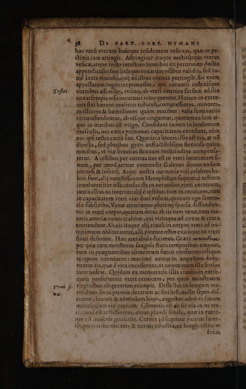 3$ Ds PART..CORP. HVMANI hoc veró vterum huícque infidentem veficam, quz os pe- NS: &amp;inis iam attingit. Aftringitur itaque nectitárque vterus hr vefica;atque recto inteftino tenuibus ex peritonzo ductus ai appendiculis:fimilitérque coxarum offibus validis, fed ta- | g mé Jaxis vinculis,que ad illius cornua pertingüt.Sic enim fi [ appellarunt ingentes proceffus ; qui curuatis inflexí(que mE. T. Tefles. cornibusaffimiles, vtringsab vteri introitu furfum adilia [i coxarümque ofla incuruati retorquentur. Horum in extte- fj mis fixi haerent mulieris te(ticuli,Jcompreffiores, minores; a molliores &amp; hurnidiores quàm maribus: vafis feminariis | o circumfunduntus, ab eííque cinguntur, quorüm eadem at- | on que 1n maribus eft origo. Confidunt tamen in lumborum a mufculis, nec extra peritonai capacitatem excedunt, cüm | m nec ipfi teftes extrà fint. Quocirca breuis ills eft yia, at nó | u directa , fed pluribus gyris anfractibüfque flexuofa quàm 1 maribus , vt viz breuitas flexuum rnultitudine compenfa- ; /N ' getur. Ateftibus per cornuaiter eftin yteri interiorem fi- t ! num, per quodacriter contendit Galenus Íemen eodem | 6 à intrudi &amp; inferri. Atqui noftra memoria viri celebres ha- j ) biti funt;alij vetuftiffimum Herophilum fequuti,é teftium inuolucro iter effe.cenfuerüt in neruofam vteti ceruicem, D iuxta illius os interius;alij é teftibus tum in ceruicem,tuum. j 1n capacitatem vteri vias duci volunt,quorum ego fenten- | or tix fubfcribo, Venz atterieque plurime fparf« diffundun- Ng: tur in yteri corpus,quaruim ortus ab iis tum venzetum ma- m ; joris arteriz ramis trahitur,qui vtrinque ad coxas &amp; crura y a contendunt. Ab eis itaque alij riuuli in corpus vteri ad nii-: a A tritionem obliteranturalij. patente oftio exicüque in vteri  À finus definünt. Hxc acetabula dicimus, Graci semvjvdhrae iv per que tum. menftruus fauguis ftatiscemporibus emanat, (is l tuum in przgnantibus alimentum fagtui confertur:reliquo. Í 3 | tempore conniuent: máximé autem in anguftum dedu- li ! / euntur iis,qua é vita excefferunt,vt nequaquam illa fenfus hi | l internofcat. Quidam ex inemoratis illis r1uulis 1n extre- M | mam proferuntur vteri ceruicem , per. quos menftruum Lom pres fi. Yirginibus aliquantum erumpit. Diffectusinlongum vte- EU uv bu. rus duos finus promit dextrum ac finiftrü, nullo fepto dif-  n cretos ,1nanes &amp; aditodiim leues, anguftos adeó yt fabam d maluículam vix capianti. Comunis ett ab ii$ via in os vte-. à d 11,500d e(tartiffimum, eíque glaadi fimile, qua in extre-  d: mo ei inafculi geaitalis. Ceruix 1d fequitur partum lacer- n Fas tispartun membranis &amp; neruis conditajea longittdine vt OP foras