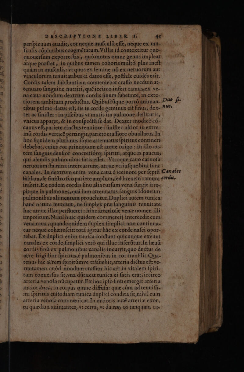 D DESCRIPTIONE LIBER TI; 4t perfpicuum euadit, cor neque imufculü effe, neque ex mu- Ículis cópluribus coagmétatum.Villis id.contextitur quo- quouerfuüm exporrectis , quó motus omne genus impleat atque przftet , in quibus tamen roboris multó plus ineft quàm 1n mufculis: vt quos ex femine nó ex neruorum aut vinculorum tenuitatibus ei datos effe, pofthàc euidés erit. Cordis talem fubítantiam conueniebat craflo necduin ac- tenuato (anguine nutriri;qué iccirco infert ramus,ex ve- na caua nondum dextrum cordis finum fubeunte, in exte- riorem ambitum productus. Quibuftüque porró animan- D^? fr tibus pulmo datus eft, iis in corde geminus eft finus, dex- ^9^* ter ac finifter : in pifcibus vt mutis ita pulmone deftitutis, vnicus apparet, &amp; in confpectü fe dat. Dexter modice có. cauus eft;pariete cinctustenuiore: finifter alaor 1n extre- inü cordis verticé pertingit;pariete craffhiore obuallatus.In hoc fiquidem plurimus ííque attenuatus fpiritus contineri debebat, cuius cor principium eft atque origo : in illo au- tem fanguis denfior concretiórq; fpiritu, atque is paucus; qui alendis pulmonibus (atis eflet. Vtroque cauo carnofa neruorum ftamina intercurrunt; atque vtriufquebini funt canales. In dextrum enim vena caua à iecinore per feptü Canales füblata;de finiftro fuo pariete amplum;íed breuem ramum «?r d, inferit.Ex:eodem cordis finu alia rurfum vena fuxgit irre- pítque in pulmones; quà iam attenuatus fanguis idoneum pulmonibus alimentum prouehitur.Duplici autem tunica hanc natura muniuit;, ne fimplex prz fanguinis tenuitate hac atque illac perflueret : hinc arteriofze venz riomen illi impofitum. Nihil huic quidem commercij intercedit cum vena caua ; quandoquidem duplex fimplici non continua- tur. neque coharefcit: cotá igitur hác ex corde naíci opor- tebat. Ex duplici enim tunica conftant quicunque exeunt canales ex corde;fimplici veró qui illuc 1nferütur.In leuü cordis finü ex pulmonibus canalis incurrit;quo ductus de acre frigidior Ípiritus,é pulmonibus in cor tranfilit.Qua- tenus hic aérem fpiritámve tráfuehit;arteria dictus eft:ye- runtamen quód. nondum craffior hic ar in vitalem fpiri- tum conuerfus fit,vna düitaxat tunica ei fatis erat; iccirco arteria venofa nüicupatur.Ex hoc ipfo finu emergit arteria maior dopaw; in corpus omne diffufa: qux cüm ad tenuiffi- mi fpiritus cuftodiam tunica duplici condita fit;nihil cum arteria venoía commmnicat.In maioris aut arterix exor- tu quadam animantes, vt cezui; yc dai, 0$ tanquam ra-