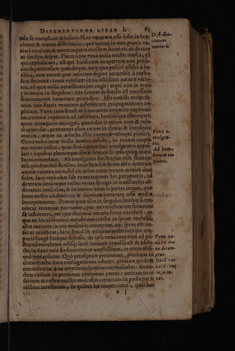 DisóRibTYONEÉ LIBxR l £5 tüis fe complicat &amp; inferit. Hiec venarum effe folet1nbras chium &amp; manus diftributio , quetamen in non paucis va» tiari cernitury&amp; nonnunquam eiufdem hominis in dextro ac iniftro diípar. Plerumque vena nulla exiftit media ; eft qui cephalicam , eft qui bafilicam inapertum non profe- tat:deprehenfum quandoque; eam quz pollic? affitit à ba- filica, eam autem quz minimo digito accumbit à cepha- lica deriuari : tanta videlicet in iis oftéditur natur varie: tas, ad quz nulla necelfitatis lex cogit : atqui non in venis ( vt neque in ftirpibus ) viia femper &amp; fimilis eft neceífaria fruticantium ramorum proiecio; His omiffis tempceíti- uum iam fuerit venarum iuferiorum- propagatiónem ex- plicare. Vena:caua fimul ac éiecinoris eonuexo exptomie tur,ramum ingentem ad inferiora; lumbóíque cotorquet: quos antequam attingat ; pendulus is étiam tum.&amp; velu- ttappenfus , pretenues alios ramos in thecas &amp; inuolucra renum , atque: in. adiecta illis corpora vtrinque profert. Continu&amp; autem vtille lumbis infedir, in rénüm corpts eas venas infert , quas dixiiunioribus emulgentes;appel- lari : à quibus plerumque fibi tenues in E qnóq; indo- lucra concedunt. Ab emulcente finiftra vas exit; feminae id fiü,quod multis flexibus inteftem (iiiftrum abit: dextrum 9 autem vas non item;fed ex 1píius caua: trunco maioré duci folet. fam veró cüm fib tenes truncis hic petuenerit , ad dextram lzuamque exiles venas fpargit in tranfueríos ab- dominis mufculos, &amp; in omnes ventris partes inanes, quá inter coftas adulterinas &amp; fuprema coxarum- offa media interponuntur. Przter quas aliz in fingulas lumboribvere tebras vtrinque permeant per ea vertebrarum foramina [€ inferentes, per qux diximus neruos foras excidere : at- c ex hisalix tenui membrana cincta. in (pine medulla, aliz maiores in cos mufculos erumpunt, qui fpine extrin- fecus accubant , hinc fimul ín «externa pofteriorsque.cor- porislongé latéque diffuze. At ipía vena caua cüii.ad po- Vena. £z- ftremávertebram offi; (acri initium appulía eft &amp; addu- «2i crie &amp;a,in duos tota finditurramos ampliffimos, in crura Obli- ra direm- qué prolapfuros. Quó priufquam pertineant plurimas in prse. éircumiecta loca coniugátiones edunt: primam quidem Decé vg tetrorfam in ;asae interiores lumborum mufeulos : (ecune narii cond dam exilem in'proximás peritonz) partes : tertiam in o8 /474/1- facrum &amp; inftratosillis mufculos i quartam 1n podicent &amp; 225. xectum inceftinum ,. in qaibus h&amp; numerantur ,, quas sae € j Diftribu- toner variare r4