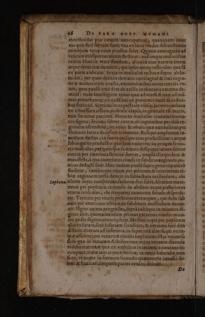 RR 66 Ds PAR T. CORT.- HYMANI morrhoidas pra caeteris nuncuparunt, quanquam inter eas qui fere feptem funt; vna ex loco Medio difiunctionis rdmorum venz cauz prodire folet. cn coniugatioad veficam eiüfqueceruicem fle&amp;titur : ea émque mulieribus ramos alios in vteri fuadum , aliosin eius partem imain átque ceruicem demittit , qui ipfos quoq; tefticulos quadá ex parte ambiunt. Sexta in muículos rectose fertur abdo- Tinis , per quos deinin thoracis cattilaginé &amp; imi regio- net mammarum euadit, extremitatibus occurrensiis ve- ni$; quas pauló ante dixi ab axilla in thoracis externa de- mitti: vnde intellieitur venas quz ad vterii &amp; quz ad mà- mas prouehuntur,ex eadéaut ex proximis inter fe radici- büs'deriuari. Séptima in os pectinis ei&amp;(q; Jacertossoctaua ex' cómiflura offtum pectinis elapfa;in genitale tü naris, tum feeminz percinet. Nonain mufículos crurum interio- res figitur: decima fubter cutem ab inguinibus per iliu re- gionem afcendens , 11s venis fit obuia quz extrinfecus per thoracis latera deorfum trahuntur. Reliqui amplorum ra- . miórum ductus ;1n fuum quifque crus proficifcitur:: atque fubingitirie produ&amp;io quzdam emittitur in priores femo- ris fnufculos;perquos a omnis diffiparur:altera fubter cutein per interrora femina deerat , ampla illa quidem &amp; manifefta;à qua complures riuuli in fubditasregiones pe- nitus deducti funt. Hiec eadem pauló fupra genutripartitó finditur, ramümque.ynum per priorem &amp; interiorem ti- bis regionem recta deicit.in fubie&amp;tum malleolum ; vbi Saphbena.clatüs atque conípicuus;faphena dici folet. Alterum maxi- 1num per poplitem recondit 1n. abditos atque pofteriores cruris mafculos , vbi frequenti ramorum fobole difperdi- tür. Tertium per cruris pofteriora retorquet , qui dein fub €uüté per externam tibiamin fubditum malleolum decur- tit: Ióeius autem progre(lus; fupràinfraque in minores di- gitos abit, quemadmodum primus extremis riüulis maio- res pedis digitoscircumplicat. Medius isqui per poplitem abitán futam,feré bifariam fcinditur, &amp; extrema feró duo difiicit;alterum ad inferiora,in fuperiorà alterüs qiii vtrin- ue affidentium venarum riuulis implicatur Hec vniuería Á nt qua de venarum diftributione atque numero dicenda videbantur:nam quz ex vmbilico iniecinoxis concaua it- rumpünt,vietz iam atqueemeritz, in venis habendx non funt, vt neque in foetuum fecundis quécunqtüe irnnafci fo« Teüt &amp; fraticari;corporis partes cenferi debent,