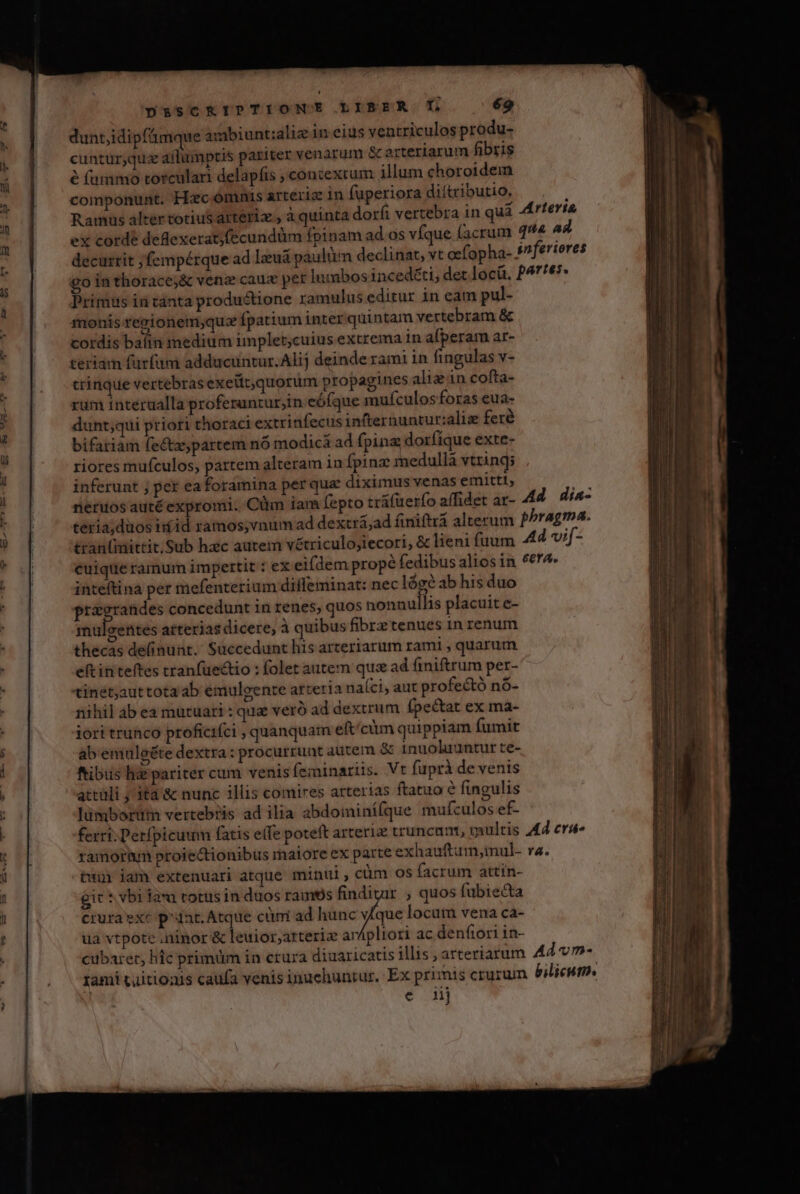 dunt,idipfümque ambiunt:aliz in eius ventriculos produ- cuntur;quz aflumptis pariter venarum &amp; arteriarum fibris é fummo torculari delapfis , contextum illum choroidem componunt. Hzc omnis arteriz in fuperiora diítributio, Ramus alter totius arterix , a quinta dorfi vertebra in quà ex corde deflexerat)fecundüm fpinam ad os víque facrum Arteria qua aa Primus in tànta productione ramulus editur in eam pul- 17onis regionem;qua fpatium inter quintam vertebram &amp; cordis balin medium implet;cuius extrema in afperam ar- teriam fürfüm adducuntur. Alij deinde rami in fingulas v- trinque vertebras exelit,quorum propagines alia in cofta- rum interualla proferuntur;in eófque mufculos foras eua- dunt;qui priori thoraci extrinfecus infternuntur:alise feré bifariam fe&amp;zpartem nó modici ad fpina dorfíque exte- riores mufculos, partem alteram inípinz medulla vtrings inferunt ; pex ea foramina per qua diximus venas emitti, neruos autéexpromi. Clm iam fepto tráfüerío affidet ar- Ad dia- tran(mittit.Sub haec autem vétriculo;iecori, &amp; lieni fuum cuique ramum impertit : ex eifdem propé fedibus alios in inteftina per mefenterium difleminat: nec lógé ab his duo przgrandes concedunt 1n renes, quos nonnullis placuit e- malgentes arterias dicere, à quibus fibrztenues 1n renum thecas de(inunt. Süccedunt his arteriarum rami , quarum eftinteftes tranfuectio : folet autem quz ad finiftrum per- tinetauttotaab emuleente arteria naíci, aut profectó nó- nihil ab ea mutuari : que veró ad dextrum (petat ex ma- iori trunco proficifci quanquam eft/cim quippiam fumit ab'emuleéte dextra: procurrunt autem &amp; inuoluuntur te- fibus hai pariter cum venis feminariis. Vt fuprà de venis attüli ; ita &amp; nunc illis comires arterias ftatuo e fingulis lümborüti verteb?is ad ilia abdominí(que mufculos ef- ferri. Derfpicuum fatis effe poteft arteri truncunt, taultis ramorum proiectionibus maiore ex parte exhauftum;inul- twi iam extenuari atque minui, cüm os facrum attín- git * vbi iau totus in duos ramtós findigir ; quos fubie&amp;ta crura exe piat. Atque cümi ad hunc vfque locum vena ca- ua vtpote .ninor lied pe arÁpliori ac denfiori in- Ad vi[- 6er. AÀ cru. TA. € nj — RE E cm uL i En Mg rr mm rn PEE 3. eor KL—N