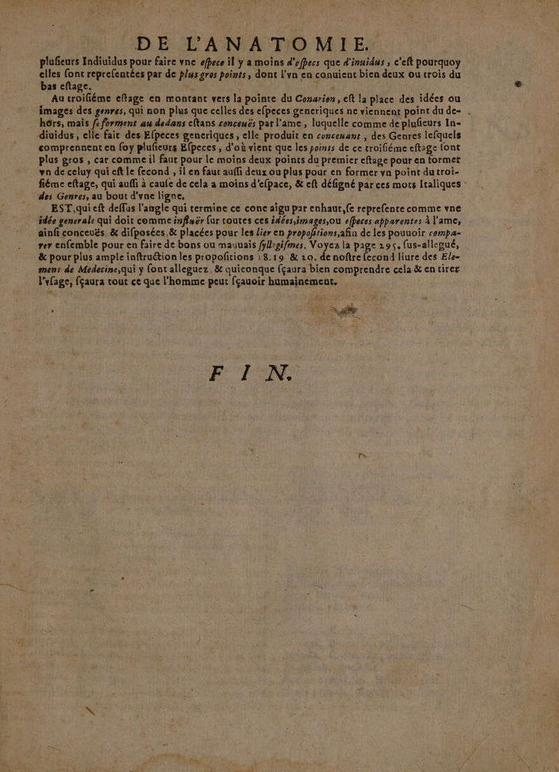 plufieurs Indiuidus pour faire vne efpece il y a moins d’efpecs que d'inuidus , c'eft pourquoy elles font reprefentées par de plus gros points, dont l’vn en conuient bien deux ou trois du bas eftage. À AU À Au croifiéme eftage en montant vers la pointe du Conarion, et la place des idées ou images des genres, qui non plus que celles des efpeces generiques ne viennent point du de- . hôrs, mais fc forment au dedans eftans conceuës par l'ame, luquelle comme de plufieurs In- diuidus , elle faic des Efpeces gencriques, elle produit en concenant , des Genres lefquels comprennent en {oy plufieurs Efpeces , d’où vient que les poinrs de ce troifiéme eftage font plus gros , car comme il faur pour le moins deux points du premier eftage pour en former va de celuy qui eft Le fecond , il en fauc auffi deux ou plus pour en former yn point dutroi- fiéme eftage, qui auffi à caule de cela a moins d'efpace, &amp; eft défigné par ces mots Italiques : des Genres, au bout d'vne ligne, EST,qui eft deflus l'angle qui termine ce cone aigu par enhaut,fe reprefente comme vne idée generale qui doit comme influër {ur routes ces idées, images,ou efheces apparentes à l'ame, ainfi conceuës. &amp; difposées.&amp; placées pour les Lier en propofitions, afin de les pouuoir cempa- rer enfemble pour en faire de bons ou mauuais /ylogifmes, Voyez la page 295. fus-allepué, &amp; pour plus ample inftruétion les propoftions :8:19 &amp; 20. de noftre fecond liure des Ele= mens de Medecine,qui y (ont alleguez, &amp; quiconque fçaura bien comprendre cela &amp; en tirer “vfage, fçaura tout ce que l'homme peut fçauoir humainement. à” à F IN.