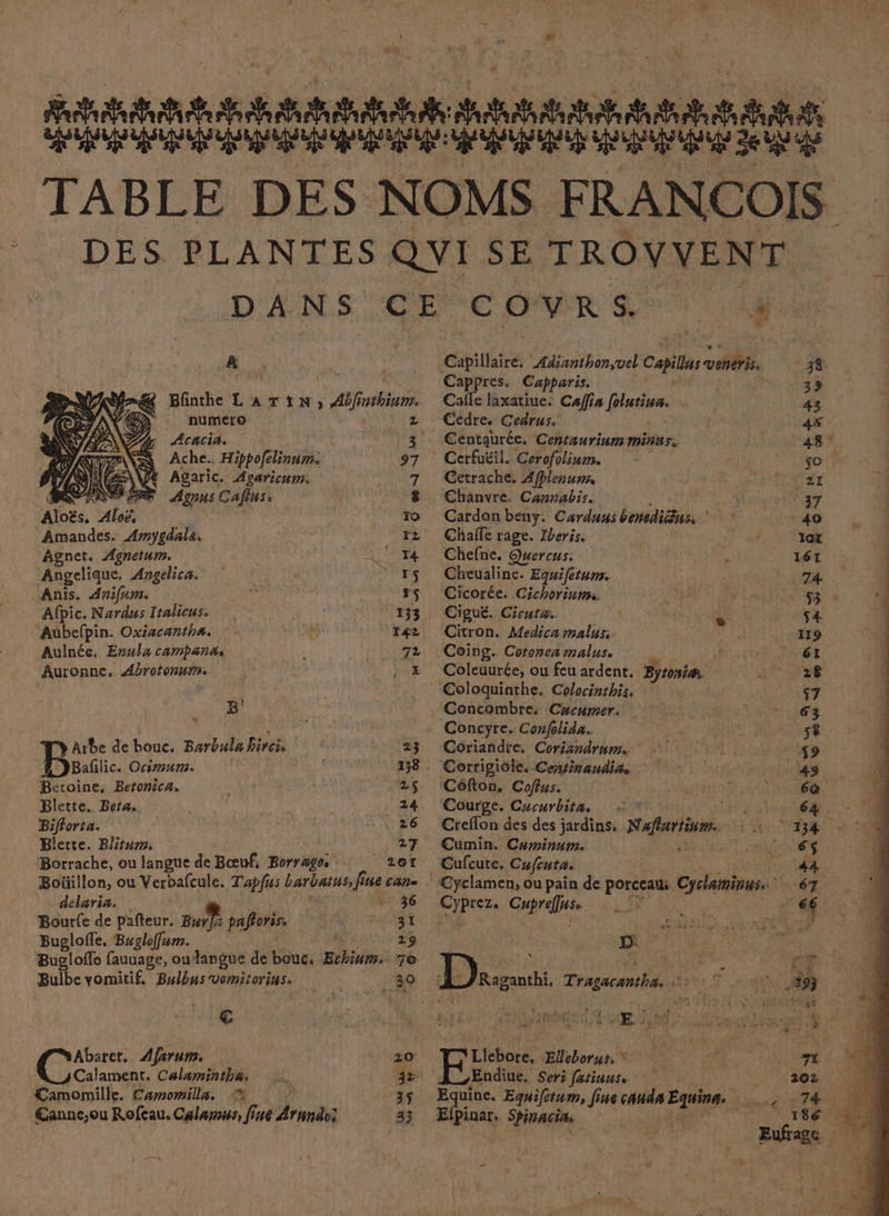 l LR SR AR SAS A A AS GR CE RSR UE 2e Nu TABLE DES NOMS FRANCOIS DES PLANTES QVUISE TROVVENT DANS CE COVRS 4 ns cHbte Adinnthon,vel Capilas tri 38 Cappres. Capparis. DR: “&amp; Bfnthe LATIN; 40/f de Calle laxatiue: Caffia folutina. È 43 numero Cedre. Cedrus. 45 Acacia. * Centaurée, Centaurium minus. 48° Ache.. Hippofelinum. 97 Cerfuëil. Cerofolium. so Agaric. Avaricum. 7 Cetrache. Aflerum, CAT Agnns Cafins: 8 Chanvre. Cannabis. Lee er | é To Cardonbeny. Carduus benedidus. 40 no. pe. à rz Chaffe rage. Iberis. | MP OUET, 1er Agnet. Agnetum. LT 4 Chefne. Quercus: ; 161 Angelique, Angelica. © 15 Cheualine. Egwifétum. | 74 Anis. Anifum.  Frs Cicorée. Cichorinmi. | 53 : Afpic. Nardus Italicuss 133 Ciguëé. Cicura. “110 s4 Aubefpin. Oxixcantha. &amp; Y#2, Citron. Medica malus LT ri Aulnée, Enulacampants | 72 Coing. Coronca malus. SE PTE Auronnc. Abrotonumm , x Coleuurée, ou feu ardent. Bytoni. RUE TS ‘Coloquinthe. Colocinthis. s7 B' Concombre, Crcumer. | ARC LE ñ __ Concyre. Confolida.. 58 Arbe de bouc. Barbula hireï. 23 Coriandre. Corisndrum l'os Bai. Ocimum. 478, 138 - Corrigiolke, Centinandiñe 49 Beroine, Betonica. 2$ Côfton. Coflus. ÉgSENiR AN ESS Blette. Beta. 24. Courpe. Cucurbita. à D'un TE Bifforta. 26 Creflon des des jardins. arme l'E Blette. Blirum: 27 Cumin. Cuminum. TL: Borrache, ou langue de Bœuf, Borrago. 207 Cufcure, Cufuta. Re Boïllon, ou Verbafcule. Tapfus barbatus, fine Catt= Gyclamen, ou pain de porceaus Cyclaminus. ét delaria. 36 Hp Grprelse 3 «6 Bourfe de pafteur. M paforis, 31 HAL RATES NT En do. Buglofle, Bugloffum. 29 D! ù Bugloffo fauuage, oudangue de bouc. Echium. 70 D ; M QT MED ES CE Bulbe vomitif. Bulbusvémitoriuss 30 5 ve Tragacantha. 57 7: 0 93 À , | SAR F < CAR DEP ART Le: | € ARE NES) RP GPS SI MARS R MERE CINE à Abaret, Afarum. 20 'Llebote, Eleborus, * Ut Calament, Calamintha, 32 Endiue. Seri fatinuss ‘Pro Camomille. Camomilla. 35 False Equifetum, fine canda ot PT UE. Cannc;ou Rofeau. Calamus, finé Arundsi 33 Efpinar, Since, | Es CURE | EUagc ?