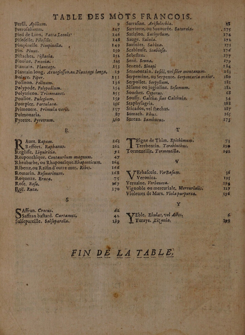 Perfil. Apilium. Petrofelinum, è Pied de Lion, PattaLeonis* * Pifofelle, Pilofelle. Pimypinelle, Pimpinellæs $ Pin. Pious. | Piftaches, Piflacia Piuoine. Pæontm À. Plantain. Plantago. Poigre. Piper. Polinon. Polinum. Pelypode. Polypodiurs. Polytricon. Tricomanes. Pouliot. Pulegium. Pourpier. Portulaca. Primeuere. Primula veris Pulmonaria. Pyretre. ri R Aues. Rapum. Reffort. Raphanus. Replifle, Liquiritia. A Reuponthique. Centaurinm magnum. -Rheubarbe, ou Rhapontique.Fhaponticums, Ribette,ou Raïfin d'outre-mer. Ribes. Romarin. Rofmarinun: Roquette. Eruca Role. Rofz. Ruë. Ruia 1 Affran. Crocis. Saffran baftard. Cartamus Saleparcille. Saliparel. 447 3146 148 49 150 152 143 453 19 136 1$4 Sarrierte, | ou Sauourée. sauté Sacirion, Sa/hyréume Sauge. Saluia. Sauinier, Sxbinæ. Seneué. Sinapi  Sermontain, Sefeli, vel filer montanym Souchet. C RAA sJperus. 7: Staphyfagria, Sticados, vel ftæchas. Sumach. Rhus. Spreau. Sambncns, > FR de Thim. Epithimums : Terebentin. Terebinthus, Tormentille. Tormentilla. r ANNEE LL 7'Erbafcule. VerBafurm Veronica. Vignoble ou mercuriale, Mereurialis. Violettes de Mars. Viol Pure x Eble. Ebulus, vel Aëfess Vuraye. Zi{ania.