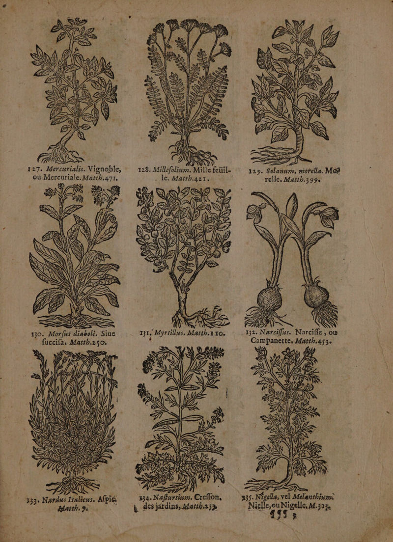 s HN PRISES REA 7 NN, LD = | 7 = = Le 147 0 777 # LA #, 4 STE an sl) 93) 5) DU ZAN] ‘ < CN, Wy, @ WA, AR rs Se CTP 2 LA LL 7 NZ RL ANDY 353, Narns Italicus. Afpié Matth: 9e h . le. Matth.air. N# EN > m2 À dr à ATELA } EN LD = SES À £ > Sa È TENTE NN 334. Nafurtinm. Creffon k des jardins, Math253 Campanette, Mutth.453. EAN AT ( N 335 Négella, vel Mlsntbhom Nielle,ou Nigelle, M.533. 4798