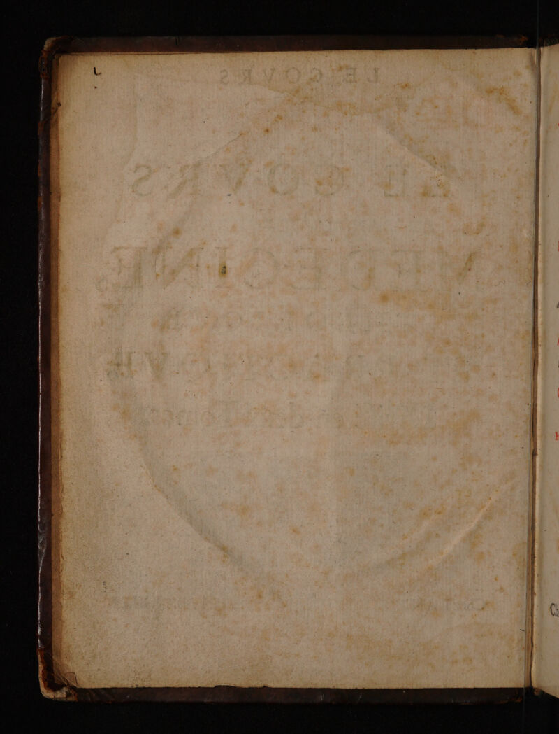 No text description is available for this image