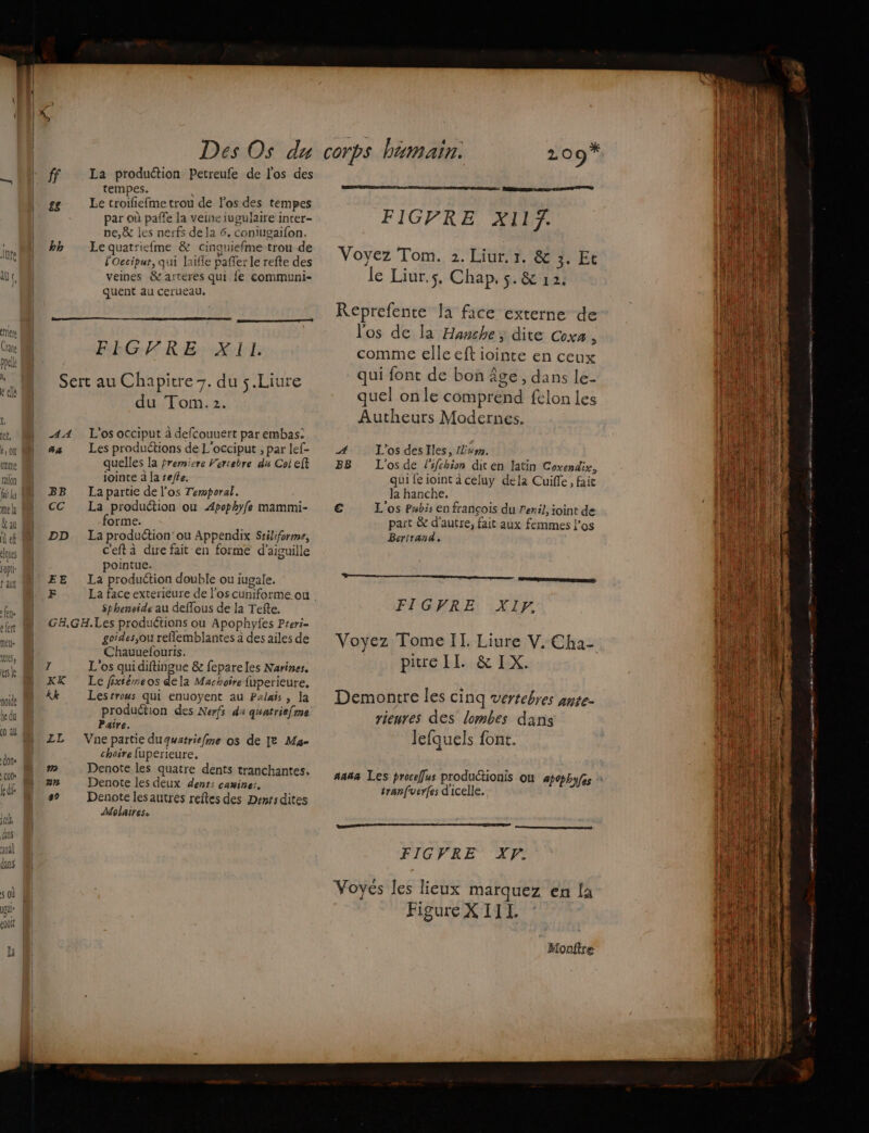 Crane ppell h, 6 ella 12, b 0 uine railon fai lg me la &amp;au ques ‘opt t AY L quA Des Os du ff La production Petreufe de l'os des tempes. gg Le troifiefmetrou de l'os des tempes par où paffe la veine iugulaire inter- pe,&amp; les nerfs de la 6. coniugaifon. hh Lequatriefme &amp; cinquiefme trou de l'Occipur, qui laifle paffer le refte des veines &amp;arteres qui fe communi- quent au cerueau. pe] FEGFRE: XL Sert au Chapitre 7. du 5.Liure du Tom. 2. AA. L'os occiput à defcouuert par embas: #a Les produétions de L’occiput , par lef- quelles la fremiere Verrebre du Coi eff lointe à la reffe. BB Lapartie de l'os Temporal. CC La production où Æpophyfe mammi- orme. DD La production’ ou Appendix Stiliforme, c'eft à dire fait en forme d’aiguille pointue. EE La production double ou iugale. $phenside au deflous de la Tefte. GA,GH.Les productions ou Apophyfes Preri- Chauuefourts. KK Le fixiémeos dela Machoire fuperieure, Kk Lesrrous qui enuoyent au Palais, la production des Nerfs du quatriefme Paire. ZL Vnepartie dugwuatriefme os de [2 Ma choire fuperieure. M Denote les quatre dents tranchantes, an Denote les deux dents camines. 99 Denotelesautrés reftes des Demrsdites Molaires FIGVRE XI1f. Voyez Tom. 2. Liur. 1. &amp; 3. Et le Liur.s, Chap, s.&amp; 12. Reprefenre la face externe de comme elle eft iointe en ceux qui font de bon âge, dans le- quel one comprend felon les Autheurs Modernes. A L'os des Iles, Lium. BB L'osde l'ifchiom diten latin Coxendix, qui fe ioint à celuy dela Cuiffe, fai Ja hanche. € L'os Psbis en françois du Peril, joint de part &amp; d'autre, fait aux femmes l'os Bertrand. FIGFRE: XIF. Demontre les cinq vertebres ante- rieures des lombes dans Jefauels {ont. tranfvuerfes d'iceile. FIGVRE XF. Voyés les lieux marquez en [a Figure XIIL. Monftre SR DE VA Danone ms mn 4,
