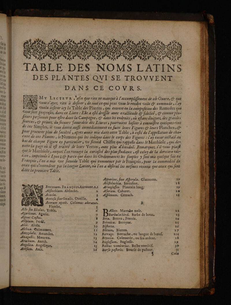 toulent fedecins ES éciItS left lodeque ins &amp; rt les feront | Heu iË les entrée x ie mis Enecele lontles Frais, les Vi. gene founés lement, trans de nf nm = GG D D, DES PLANTES QVI SE TROVVENT DANS CE COVRS. My LectEeve s'afin que rien ne manque à l'accompliffement de cêt Onure; Gr: que Vous ayez, rien à defirer ; de tout ce qui peut vous le rendre vrile commode ; d'ay Vol inferer icy La Table des Plantes ; qu entrent en La compofition des Remedes qui Vans font froprofez dans ce Liure : Elle à dffé dreffée auec exatlitude Gr fidelité , @° comme plu- Jieurs perfonnes pour effre dans La Campagne, &amp; dans les endroits ; où effans éloignez des grandes Jources ,«&amp; prinez du fécours fanorable des Liures &gt; ponrroient hefiter à connoiffre quelques-vns de ces Simples, je vous donne auffi immediatement en fuite leurs F igures G leurs Planches, &amp; Po#T Procurer plus de facilité » apres anoir mis dans cette Table , à cofté do l'appellation de cha- cune de ces Plantes ; le Numeto qui les indique dans le corps des Figures : ÿ’ay encor in$talé an bas de chaque Figure en particulier ; ®n fécond Chiffre qui rappelle dans le Matthiole , qu: de- noëte la page on il eff traitté de leurs Nertus’, auec plus d'étenduë. Remarquez s'il vous plaifé que le Matthiole, auquel lon renuoye la curiofité des plus fludieux ; eff celuy de la derniere edi- 4108 ; imprimée à Lyon j @ parce que dans les Ordonnances les fimples y foné mis quelque fois en Françoss l'on a mis ne feconde Table qui commence par le François , pour La commodité de Céix qui n'entendent pas La langue Latine, on l'on à obférué Les maefines renuois que ceux qui font dans la premiere Table. | A Apparine, fine Afperula. Glatteron. 17 Ariflolachia. Satrafne. 18 DES &lt;&amp; Brotonum. FRANÇOIS. Auronne.n.1 Arsogloffon. Plantain long. 19 (© W Ablinthium. Abfnthe. 2 Afrrum. Cabaret. 18 NY Acacia. 3 Afblenum, Cetrach. 21 PAR Acetofr fine Oxalis. Ozeille, 4 L'ÉUARGES M Acorum apoth. Calamus odoratus. B: + + -Flmbe, | $ Ale feu Ebulus, Yeble, 6 Allote. Marrube noir. 22 Agaricups. Agaric. 7 Barbulabirci. Barbe de bouc, 25 Agnus Caftus. 8 Bera. Berttes, Porrée. 24. Alipinm. PerG]. 9 Betonica. Betoyne. 25 Aloë, Aloës. +: -10 Bifforta. 26 Alihaa. Guimauues, 11 Blitum. Blettes. 27 Armygdala. Amandes. 12 Borrago. Borrache , ou langue de bœuf, 20H Ænagalis. Mouton. 13 Bryoria. Coleuurée, ou feu ardent. 28 Aréthum. Aneth. 14 Buglofum. Bugloffe. 29 Angelica. Angelique, 15 Balbus vomitorius. Bulbe vomitif. 30 Alnifum. Anis. 16 Burfa paltoriss Bourfe de pie î Cal Mens MR NT NES cs pen 2 rm © me 2 | us scmeiéimems