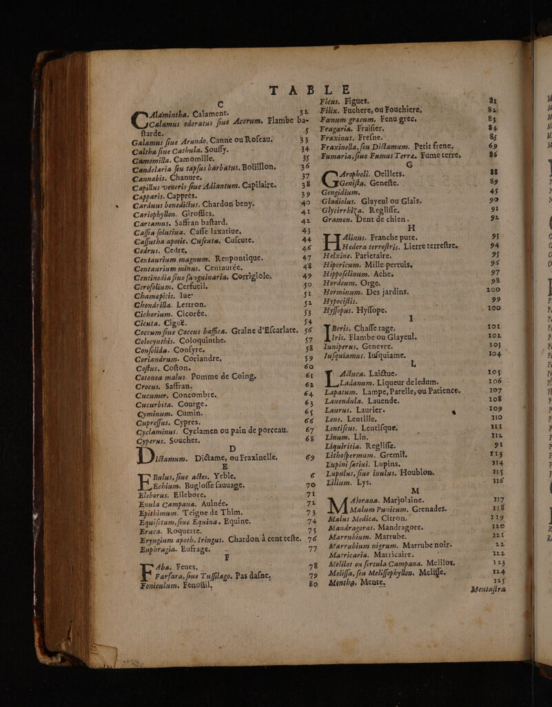 C Alamintha. Calament: farde. Galamus fine Arundo, Canne où Rofeau. Caltha fiue Cathula. Souffy. Camomilla. Camomille, Candelaria Jeu tapfus barbatus. Boüillon. Cannabis. Chanure, Capillus veneris fine Adiantum. Capilaire. Capparis. Cappres. Carduus benedittus. Chardon beny, Cariophyllon. Giroffes, Cartamus. Safran baftard. Caffia folntina. Cafle laxative, Cafutha apotie, Cufeuta. Cufcute. Cedrus. Cedre, Centaurinm magnum: Reupontique. Centaurium minus. Centaurée, Centinodia fine fanguinaria, Corrigiole. Cerofolium. Cerfueil. Chamapitis. lue Chondrilla. Lettron. Cichorium. Cicorée. Cicuta. Ciguë. Coccum fine Coccus baffca. Graine d'Efcarlate, Colocynthis. Coloquinthe. Confolida. Confyre. Coriandrum. Coriandre. Coffus. Cofton. Cotonea malus. Pomme de Coing. Crocus, Saffran. Cucumer, Concombre. Cucurbita. Courage. Cyminum. Cumin. Cupreffus. Cypres. Cyclaminus. Cyclamen ou pain de porceau, Gyperus. Souchet. LAamum. Diétame, ou Fraxinelle, cer aëles, Yeble, Echium. Bugloffe fauuage, Eleborus. Ellebore, Enula Campana. Aulnée. Epithimum. Teigne de Thim. Equifitum, fine Equina. Equine. Eruca. Roquerte. Eryngium apoth.Iringus. Chardon à cent tefte. Enphragia. Eufrage. Ficus. Figues. Filix. Fuchere, ou Fouchiere, Fœnnm gracum. Fenu grec, Fragaria. Frailier. Fraxinus. Frefne. Fraxinella, feu Difamum. Petit frene. Fumaria,fiue Fnmus Terra. Fume tetres G Aropholi. Oeillets. Genifin. Genefte. Gengidium, Gladiolus. Ghlayeul ou Glais. Glycirrhita. Reglille, Gramen. Dent de chien. H Alinns. Franche pute, Hedera terreféris, Lierre terrefire. Helxine. Parietaire. Hipericum. Mille-pertuis. Hippofelinum. Ache, Hordeum. Orge. Horminum. Des jardins, Hypociffis. ; jo Chaffe rage. Iris. Flambe ou Glayeul. Iunniperus, Genevre. | Iufquiamus. lufquiame. Aülnca, Laïdtue. Lananum. Liqueur deledum. Lapatum. Lampe, Parelle, ou Patience. Lauendula. Lauende. Laurus. Laurier. Lens. Lentille. Lentifeus. Lentifque. Linum. Lin. Liquiritia. Reglifle. Lithofpermum. Gremil. Lupini fntiui. Lupins. Lupulus, fine inulus. Houblon, Lilium. Lys. LS M Ajorana. Marjolaine. Malum Puricum. Grenades. Malus Medica. Citron. Mandragoras. Mandragore. Marrubium. Marrube. Marrubium nigrum. Marrube noir. Matricaria. Marricaire. Melilot ou fértula Campana. Melilot, | Meliffs, fen Meliffophyllon. Meliffe. Menthe, Mence. Hentafira men / “Pet ff Poed Meg Bug Dans PES eg Bas de Le