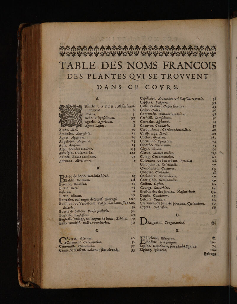A a Bünthe LATIN, Afinthinm. 2 4 numero $ ACACiñ | 3 AE Agaric. Agaricum. “à Agnus Cafluss 8 10 Amandes. Amygdale. 12 Agnet. Agnetum. 14 Angelique, Argelica 15 Anis. Anifum. ES Afpic. Nardus Italicuss 133 Aubefpin. Oxizcantha. : 142 Aulnée, Enula campan# 72 Auronne. Abroronum. x B' Atbe de bouc. Barbula hircè, 23 Bañlic. Ociëmum. 138 Betoine, Betonisa. 2$ Blette. Beta. 24 Bifiorta. 26 Blette. Blrum. 27 Borrache, ou langue de Bœuf, Borrages 201 Botillon, ou Verbafcule. Tapfus barbatus, fine can- delaria. 36 Bourle de pafteur. Burfx paltoris. 3 Bugloffe. Bugloffur. 29 Bugloffe fauuage, ou langue de bouc. Echium. 70 Rulbe vomitif. Bulbus vomitorius. 30 €: Abaret. Afarum. 20 Calament. Calamintha, 32 Camomille. Camomilla. 3$ £anne,ou Rofeau. Calamus, fine Afando; 33 Capillaïre. Adianthon,uel Capillus veneris. 38 Cappres. Capparis. 39 Cafe laxatiue. Caffia folutina. | 43 Cedre. Cedrus. 46 Centaurée, Certaurium minus. 48 Cetrache. Aflenum j 27 Chanvre. Cannabis. 37 Cardon beny. Carduns benedidus, 40 Chafle rage. Iberis. 101 Chefne. Quercus. 161 Cheualine. Eguifetum. 74. Cicorée. Cichoriums 53 Ciguë. Cicuta. 4 Citron. Medica malus: 119 Coïing. Cotonea malus. 61 Coleuurée, ou feu ardent. Byr074 28. Coloquinthe. Colocinthis. 57 Concombre. Curumer. 63 Concyre. Confoliaa. 58 Coriandre, Coriandrum. s9 Corrigiole. Certinaudia, 49 Cofton. Coffus. 60: Courge. Cucurbita. 64 Creflon des des jardins. Nafurtinam 134 Cumin. Cuminum. 6$ Cufcute, Cufcuta. 44 Cyclamen, ou pain de porcea Cyclaminus. 67 Cyprez. Cuprefflus. 66 D Dec. Tragacanth4. 53 E Llebore. Elleborus. nt Endiuc. Seri fatiuus: 202 Equine. Equifetum, fiue canda Équina: 74 Efpinan Spinacin, 186 Eufrage Te ie sun cote hi