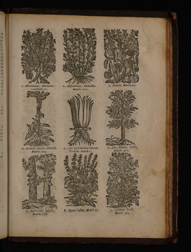 y) NU ER SUR 1'@ ANA à Û SUR A URUS NOV) KA NE Po ÿ SNA 22 NN. ANR NE A 'INRNE NAT No JA Le DA VUREZ ISSN RS \! N We Ve NS RC ANA TANSR NUE SN PAR NVENINNIAR AN 2 SN ) = EN VE à RNEN Nr REINE AN ET &amp; NES CV? SA KE Se KL SE V7 NN ZA Y &gt; | NZ |! | IN û : 3 pp TX A : A AN TBE Ÿ WTA À = \\ $ ANS N 5 N È } { Re. 1. Abrotonum. Auronne. ätatthiole 27. Matth. 204. es 7. Agaricum Agarice Matth 256 #2 EN to 2. Abjinthium. Abfnthe. Matth. 276. se &lt;corwm,Calamus Odorat, Flambe. Marth.3. y À 7 ESS à ë RESTO ANT SE 0 £a &gt; /d NS)  14@ ES : PTT NÉE SSSR Fe 27) &amp; 2 Ss a CE: SE &amp; Le 52 : En \, 6. Aûe , Ebulus, Yeble, Matth. 46%. dm a + A om 0 détente à 07 rent M RE , Ê 9. Apilinm Perfil. Mañih. 303: ne mm