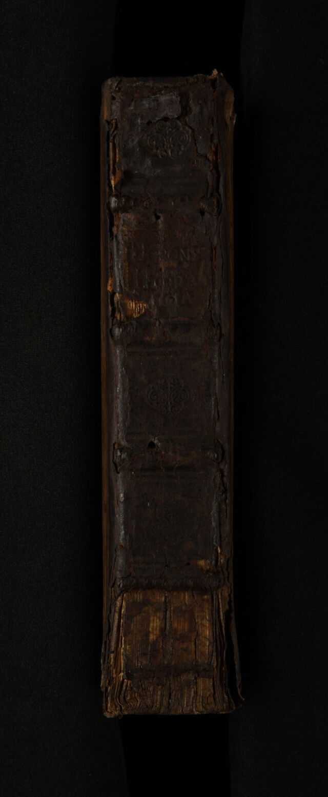 No text description is available for this image