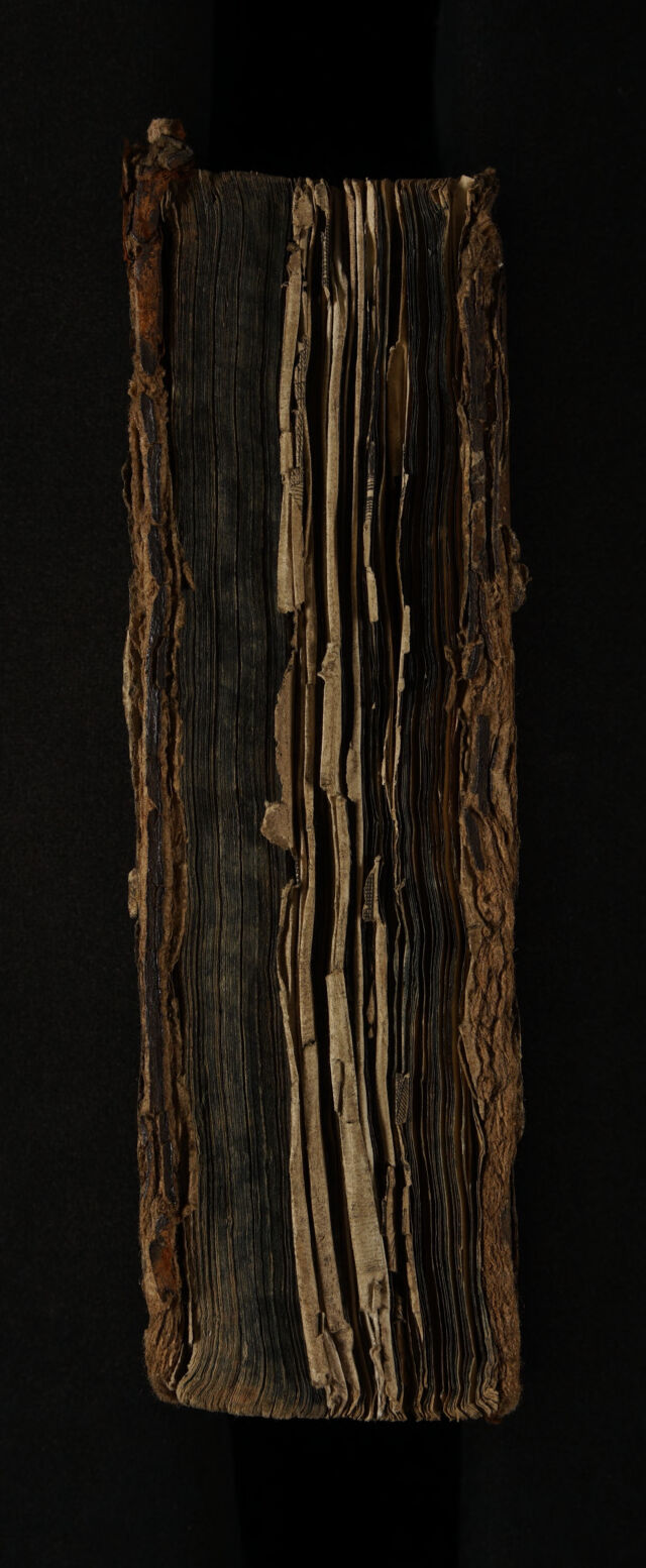 No text description is available for this image