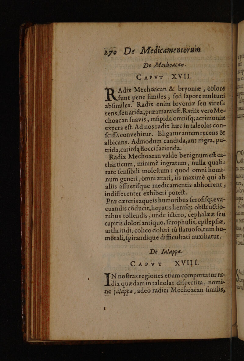 De Mechoacaa. CabpPvr XVII. y Adix Mechodcan &amp; bryoniz ; coloré M .funt pete fimiles ; fed faporemultumi | abfimiles. Radix enim btyoniz feu virefa | cens, feuárida;przamara'eft. Radix veroMe- ^ choacan fuavis ,infipida omhiíq;acrimoniz expers eft. Ad nosradix hæc in taleolas con- fciffaconvehitur. Eligaturautemrecens &amp; albicans. Adüiodum candida,;aüt nigra, pu- trida,cariofa flocci facienda. Radix Mechoacan valde benignum eft ca- tharticum, minimé ingratum , nulla quali: tate fenfibili moleftum : quod omni homi- num generi .omniztati, iis maximé qui ab aliis affuetifque medicamentis abhorrent ; indifferenter exhiberi poteft. Præ cæterisaqueis humoribus feroffq;eva- euandis côducit,hepatis lienifq; obftru&amp;io- nibus tollendis , unde iétero, cephalez feu capitis doloriantiquo, fcrophulis, epilepfiz, arthritidi, colico dolori tü flatuofo,tum hu- morali,fpirandique difficultati auxiliatur. Dé lalappa. CAPVT XVIIIL
