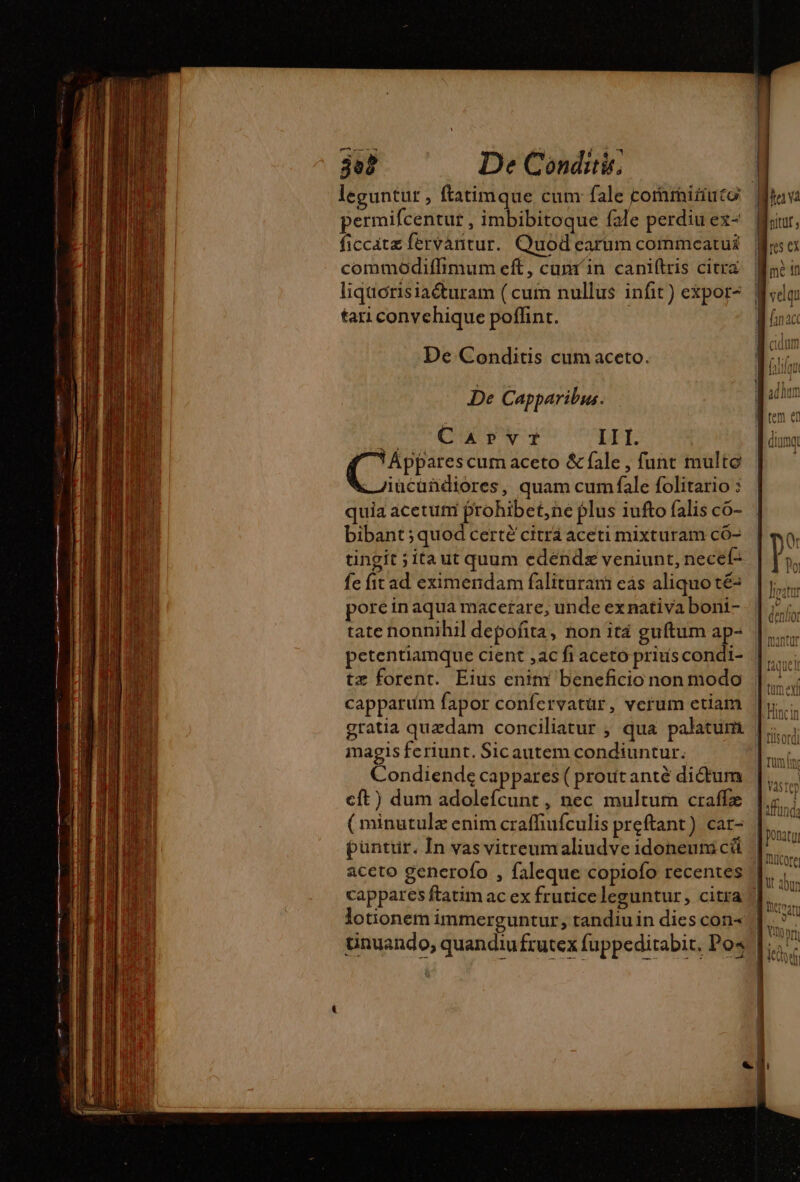 30? De Conditir permifcentur , imbibitoque fale perdiu ex- ficcatæ fervantur. Quod earum commeatus commodiffimum eft, cam in caniftris citra tari convehique poffint. De Conditis cumaceto. De Capparibus. RIDE Die Ce de AE &lt; III. Áppares cum aceto &amp; fale , funt multe Jiucuñdiores, quam cum fale folitario : quia acetum prohibet,ne plus iufto falis có- bibant ;quod certé citra aceti mixturam có- tingit ; ita ut quum cdéndæ veniunt, necef- fe fit ad eximendam falituram eas aliquo té: pore in aqua macerare, unde exnativa boni- tate nonnihil depofita, non ita guftum ap- tz forent. Eius enini beneficio non modo gratia quzdam conciliatur ; qua palatum magis feriunt. Sic autem condiuntur. Condiende cappares ( proutanté dictum cft) dum adolefcunt , nec multum craffæ ( minutulz enim craffiufculis preftant) car- püntur. In vas vitreumaliudve idoneum cá lotionem immerguntur, tandiu in dies con- idi VU 1}