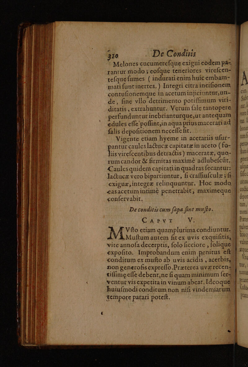 * Melones cucumerefque exigui eodem pác rantur modo ; eofque teneriores virefcen- teque fumes ( indurati enim huic embam- mati funt inertes. ) Integri citrainciftonem perfunduntur inebrianturque,ut antequam falis depofitionem neceffe fit. Vigente etiam hyeme in acetariis ufur- antur caules lactuca capitatz in aceto (fo- ls virefcentibus detractis) maceratæ, quo- rumcandor &amp; firmitas maximé adlubefcüt. «Caules quidem capitatiin quad ras fecantur: exiguæ,inteoræ relinquuntur. Hoc modo confervabit. De conditis cum [Apa fine mu[to. CAr»PVvVT we vite annofa decerptis, folo ficciorc , folique conditum ex mufto ab uvis acidis , acerbis; non generofs expreflo.Præterea uve recenz Xcmporc patari poteft. cim. | [4 SuDt I, tür, K vOICU T tur. 1 tum it po yique A flec ivi VL PUALO V