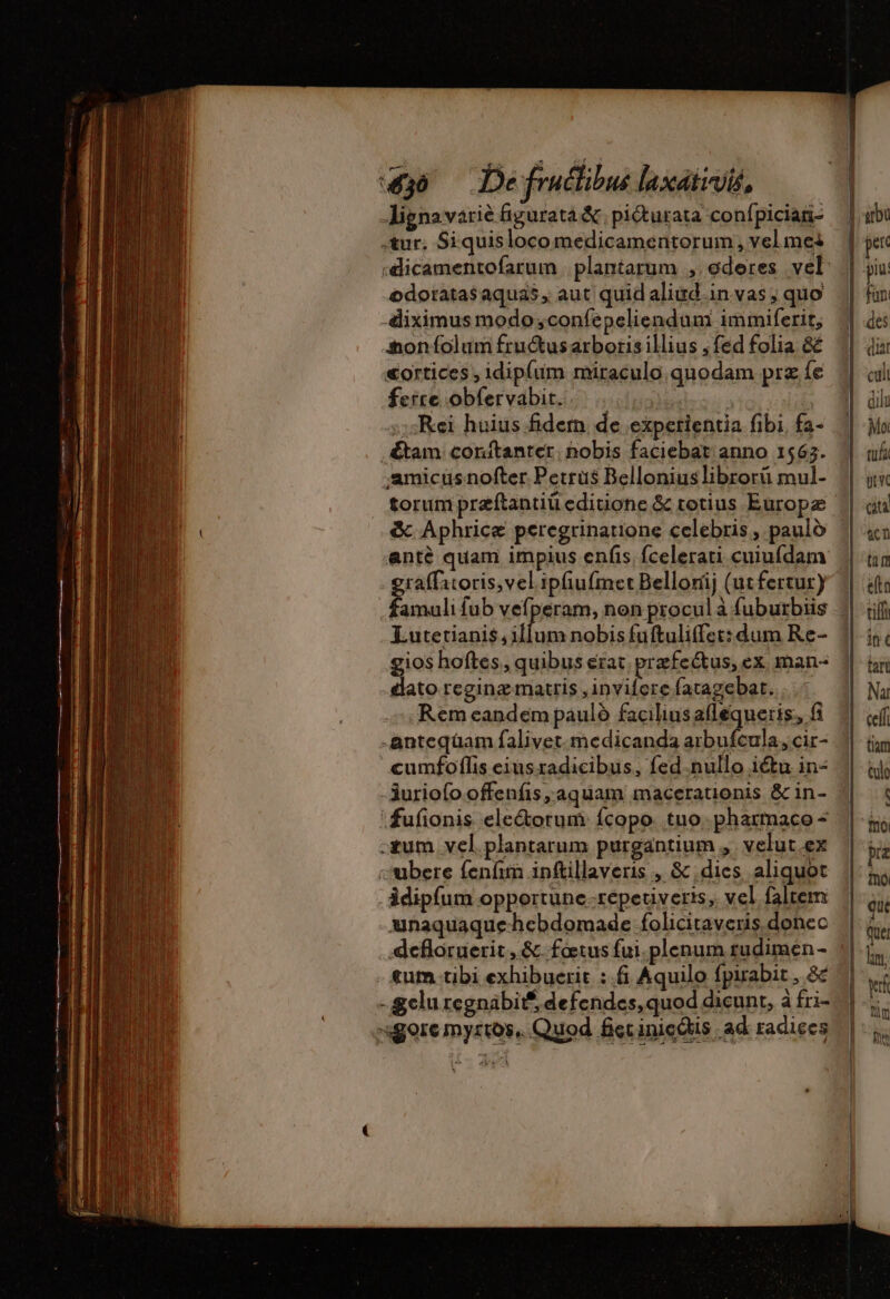 430 De fructibus laxätivis, Jignavarié figurata &amp; piéturata confpician- æur. Siquisloco medicamentorum, vel mei «dicamentofarum . plantarum ; ederes vel: odoratas aquas, aut quid aliwd-in vas; quo diximus modo;confepeliendum immiferir, Aoníolum fructusarboris illius ,fed folia &amp;é «ortices , idipíum miraculo. quodam prz fe ferre obfervabit. TR ^ ;;;Kei huius fidern de experientia fibi. fa- .&amp;tam conitanter nobis faciebat anno 1563. samicüsnofter Petrus Bellonius librorü mul- torum preftantiü editione &amp; totius Europa &amp; Aphrice peregrinatione celebris , pauld | antè quam impius enfis, fcelerati cuiufdam graffitoris,vel ipfiufmet Bellorij (utfertur) famuli fub vefperam, non procul à fuburbiis Lutetianis illum nobis fuftuliffet: dum Re- dato reginz matris ,invifere fatagebat. Rem eandem pauló facilius aflequeris; fi -anteqüam falivet.medicanda aibufcula, cir- cumfoflis eius radicibus, fed-nullo iétu in- 3uriofo offenfis aquam macerationis &amp; in- fufionis ele&amp;orum fcopo tuo. pharmaco - -tum vel. plantarum purgantium ,. velut ex cubere fenfim inftillaveris , &amp; , dics, aliquot idipfum opportune .repetiveris, vel faltem unaquaque hebdomade foliciraveris donec defloruerit, &amp; fœtus fui. plenum rudimen- tum tibi exhibuerit : £i Aquilo fpirabit , &amp; - clu rcgnábit, defendes, quod dicunt, à fri- gore myrtos, Quod fictinicdiis ad radiecs