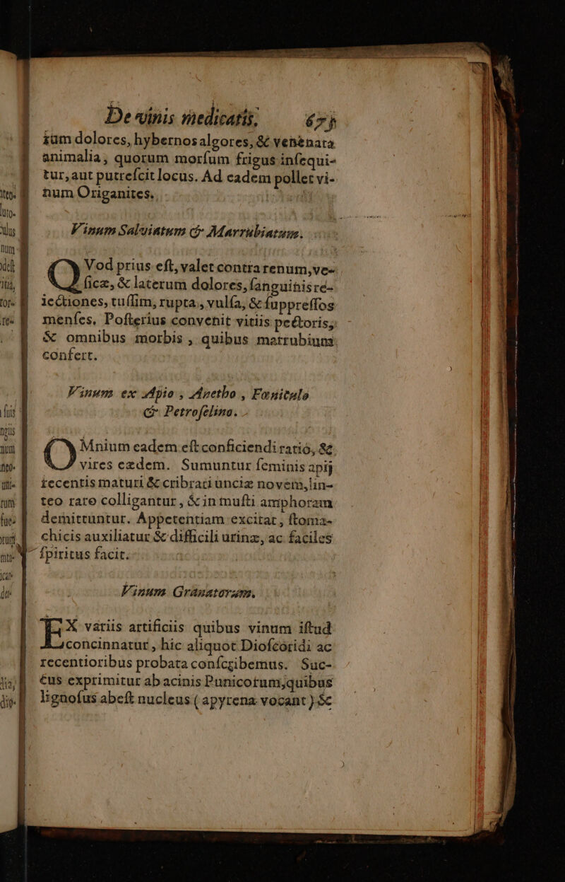 De vinis medicatis, — &amp;7j &amp;am dolores, hybernos algores, &amp; vehenata animalia, quorum morfum frigus infequi- tur, aut putrefcit locus. Ad eadem polle: vi- hum Origanites. Ü Vinum Saluintum cr Marrabiatum. Vod prius eft, valet contra renum,ve- ? fice, &amp; laterum dolores, languinisre- iectiones, tuíIim, rupta, vulfa, &amp; fuppreflos menícs, Pofterius convenit vitiis pet&amp;toris; $&amp; omnibus morbis , quibus marrubiuns confert. Vinum ex MApio , Anetbo , Fanitale C Petrofelina. TN Mnium eadem eft conficiendi ratio, 8e vires ezdem. Sumuntur feminis apij iccentis maturi &amp; cribratiunciæ novem,lin- teo rare colligantur , &amp; in mufti amphoram demittuntur. Appctentiam excitat , ftoma- chicis auxiliatur &amp; difficili urinæ, ac faciles fpiritus facit. Vinum Gramatora