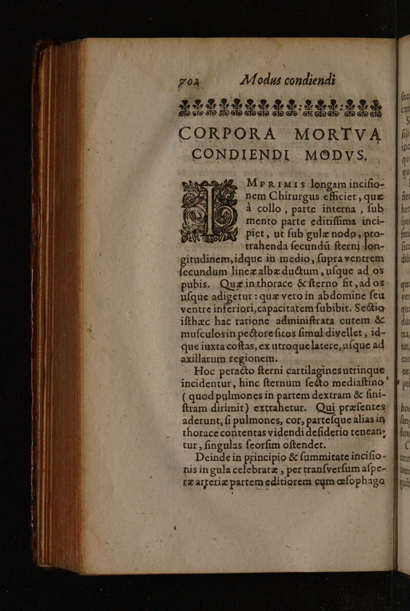 Exfittywbifticvtto $t» | CORPORA MORTVA CONDIENDI MODVYS. Mrrimis longam incifio- nem Chirurgus efficiet , que à collo , parte interna , fub. | mento parte editiffima. inci- piet, ut fub gulz nodo; pro- trahenda fecundi fterni lon- itudinem,idque in medio, fupraventrem din lineæalbæ duétum , ufque ad os pubis. Quzinthorace &amp;fterno fit ,ad os ufque adigetur : que vero in abdomine feu ventre MES or ciet fubibit. Se&amp;io ifthæc hac ratione. adminiftrata cutem. &amp; mufculosin pe&amp;orefitos fimuldiyellet , id- | que iuxta coftas, ex utroquelatere, ufque ad axillarum regionem... Hoc pera&amp;o fterni cartilaginesutrinque incidentur, hinc fternum feéto mediaftino ' ( quod pulmones in partem dextram &amp; fini- ftram dirimit) extrahetur. Qui præfentes aderunt, fi pulmones, cor, parteíque alias in thorace contentas videndi defiderio cenean: tur , fingulas fcorfim oftendet. Deinde in principio &amp; fummitateincifio- | nis ingula celebrata , per tranfverfum afpe- | fæarteriæ partem editiorem eym afophaga |
