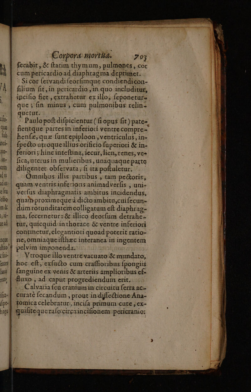 Corpora niortita. 70j fecabit , &amp; ftatim thymum, pulmones, cor cum peticardioad diaphragma deprimet. - Sicor {ervandifeorfimque condiendicon- filium fit,in pericardio , 1n quo includitur, incifio fiet , extrahetur. ex illo; feponetur. que ; fin minus ; cum pulmonibus relin: quetur. henfæe,quæ funtepiploon , ventriculas, in- fpecto utroqueillius orificio fuperiori &amp; in- feriori ; hincinteftina, iecur, lien, renes, ves fica, uterus in mulietibus , unaquaque patte diligenter obfervata; fi ita poftaletur. . - Omnibus illis: partibus , tam pecoris, verfus diaphragmatis ambitus incidendus, quai proximeque'à diétoambitu,cuifecun- dum rotunditatemcolligatum cft diaphrag- tut, quicquid-inthorace &amp; ventre inferiori ne,omniaqueilthæc interanea in ingentem Vtroqueillo ventrevacuato &amp; mundato, hoc eft, exfnéto cum craffioribus fpongiis fluxo , ad caput progrediendum erit. Calvaria feu craniumin circuitu ferra ac. curaté fecandum , prout in diffe&amp;ione Ana- tomica celebratur. incifa primum cute , ex-