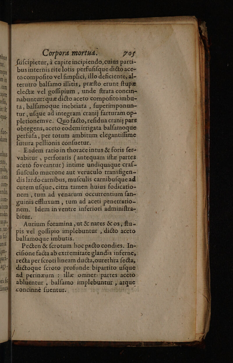 füícipietur, à capite incipiendo; cuius parti- bus internis ritelotis perfufifque diétoace- to compofito vel fimplici; illo deficiente; al- terutro balfamoillitis, præfto crunt flupæ ele&amp;z vel goflipium , unde ftrata concin- nabuntur:quæ dicto aceto compofitoimbu- ta, balfamoque inebriata , fuperimponun- tur , ufque ad integram cranij farturam op- pletionemve. Quo faéto, refidua cranij pars obtegens, aceto eodemirrigata balfamoque perfufa, per totum ambitum elégantiflime futura pellionis confuetur. Eadem ratio in thoraceintus &amp; foris fer vabitur , perforatis ( antequám iftz partes acetó foveantur) intime undiquaque craf- fiufculo mucrone aut veruculo transfigen- cutem ufque, citra tamen huius fodicatio- nem ,tum ad venarum occurrentium fan- guinis cffluxum , tum ad aceti penetratio- nem. Idem in ventre inferiori adminiftra- bitur. /, Aurium foramina ut &amp; nates &amp; os; ftu- pis vel goffipio implebuntur , dicto aceto balfamoque imbutis. Pe&amp;en &amp; fcrotum hocpattocondies. In- cifione facta ab extremitate glandis inferne, re&amp;a per {croti lineam duéta,ourethra fecta, dictoque fcroto profunde bipartito ufque ad perinzum : 1llæ omneo partes aceto abluentur , balfamo implebuntur ; atque concinné fuentur. : diro pague ancient tur meer g. d MER Se - -— - . aser dada aii a ER cr