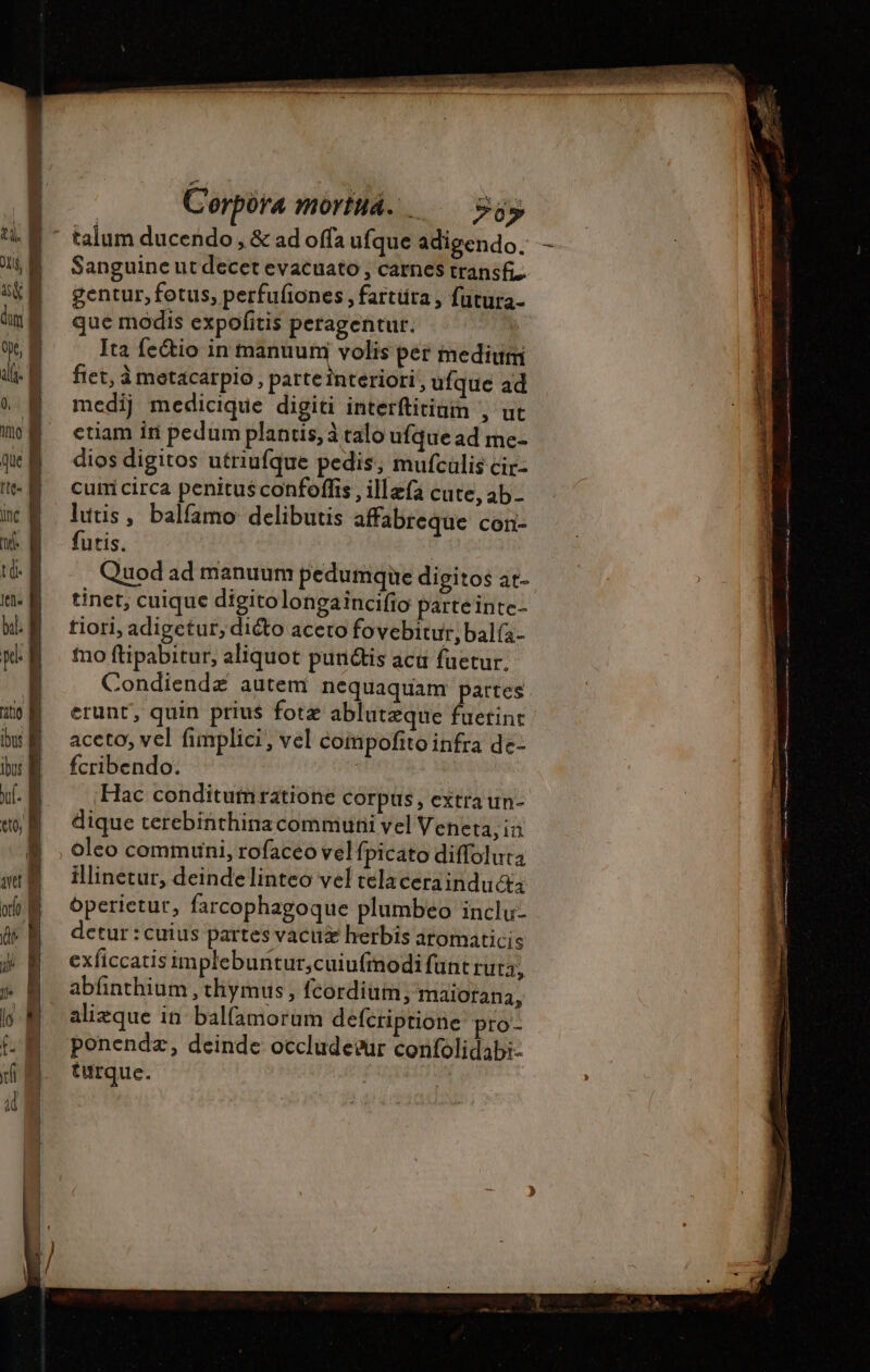 talum ducendo, &amp; ad offa ufque adigendo. Sanguine ut decet evacuato , carnes transfi.. gentur, fotus, perfufiones , fartüta , fütura- que modis expofitis peragentur. Ita feétio in manuum volis per medium fiet, à metacarpio , parte interiori ufque ad medij medicique digiti interftitiam , ut etiam in pedum plantis, à talo ufque ad me- dios digitos utriufque pedis, mufculis cir- cui circa penitus confoffis , illæfa cute, ab - lutis, balfamo delibutis affabreque con- futis. Quod ad manuum pedumque digitos at- tinet, cuique digitolongaincifio parte intc- tiori, adigctur, dicto aceto fovebitur, balía- fno ftipabitur, aliquot punétis acu fuetur. Condiendz autem nequaquam partes erunt, quin prius fotæ abluteque fuerint aceto, vel fimplici, vel compofito infra de- fcribendo. | Hac conditumratione corpus, extraun- dique terebinthina communi vel Veneta, in oleo communi, rofaceo vel fi picato diffoluta illinetur, deinde linteo vel telacerainductx óperietur, farcophagoque plumbeo inclu- detur : cuius partes vacuæ herbis aromaticis exficcatis implebuntur,cuiufinodi funt ruta, abfinthium , thymus , fcordium, maiotana, alizque in balfamorum defcriptione pro- ponendz, deinde occludeeur confolidabi- turque.