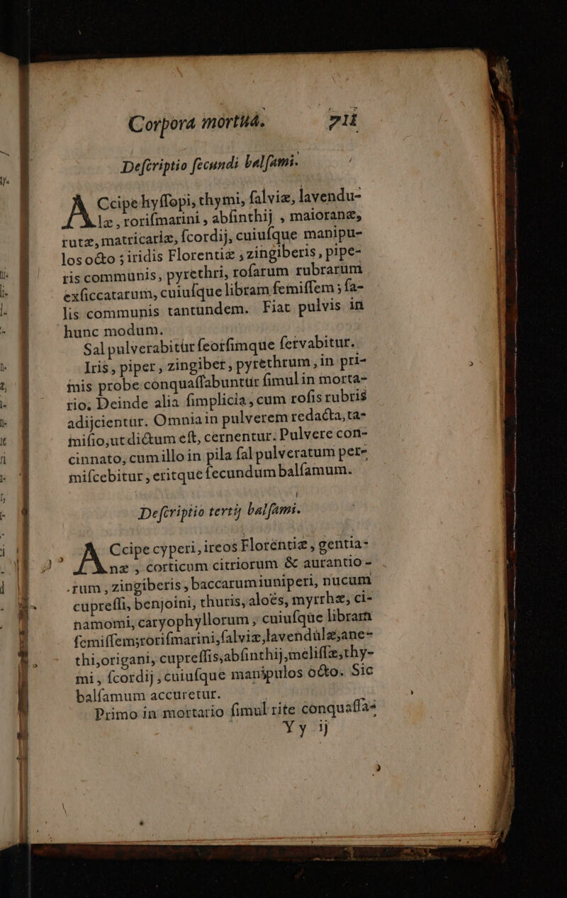 Deftriptio fecundi balfami. A pens hyffopi, thymi, falviæ, lavendu- Le, rorifmarini , abfinthij , maioranæ, rutz, matricariz, fcordij, cuiufque manipu- los octo ; iridis Florenuz ; zingiberis, pipe- |J ris communis, pyrethri, rofarum rubrarum n exficcatarum, cuiulque libram fetmiffem ; fa- lis communis tantundem. Fiat pulvis in hunc modum. Sal pulverabitür feorfimque {ervabitur. | Iris, piper, zingibet, pyrethrum, in pri- S inis probe conquaffabunttir fimulin morta- | rio; Deinde alia fimplicia, cum rofis rubris adijcientür. Omniain pulverem redacta,ta- inifio,ut dictum eft, cernentur: Pulvere con- cinnato, cumillo in pila fal pulveratum pere inifcebitur, eritque fecundum balfamum. Defcriptio terti balfami. Atv cyperi,ireos Florentie, gentia- nz , corticum citriorum &amp; aurantio- .rum , zingiberis, baccarumiuniperi, nucum cuprefli, benjoini, thuris, aloés, myrrha, ci- hamomi, caryophyllorum , cniufque libra j femiffemstorifmarini,falviz lavendüla;ane- Le thi,origani, cupreffis;abfnthij,meliflæ;thy- { mi, fcordij ,cuiufque manipulos octo. Sic balfamum accuretur. Primo in mortario fimul rite conquaffa