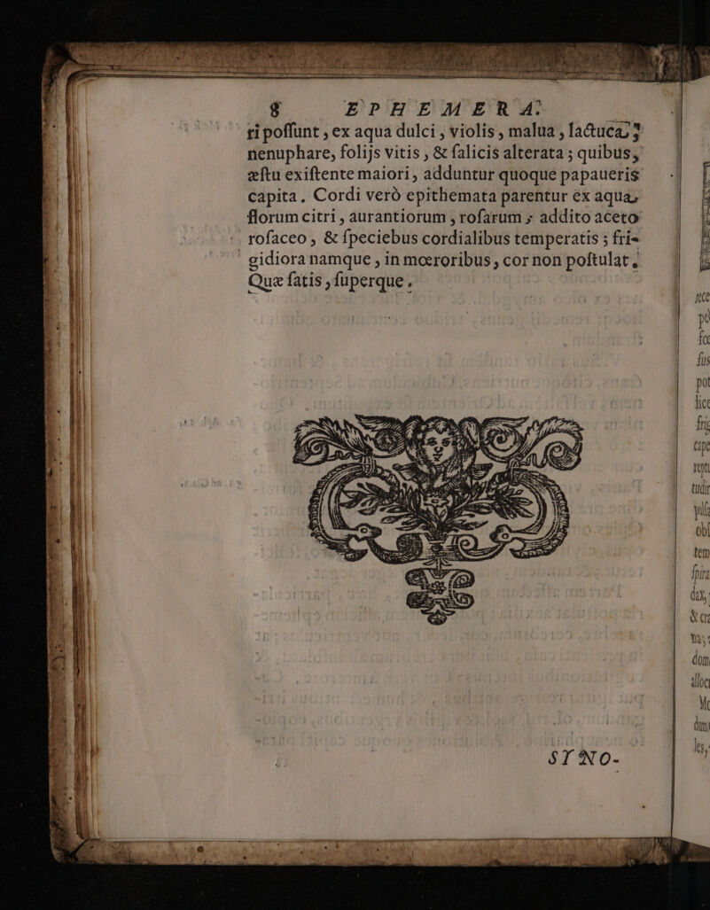 ti poffunt , ex aqua dulci , violis , malua ; la&amp;ucaj3 nenuphare, folijs vitis , &amp; falicis alterata ; quibus, etu exiftente maiori, adduntur quoque papaueris capita. Cordi veró epithemata parentur ex aqua, florum citri , aurantiorum , rofarum ; addito aceto :. rofaceo, &amp; fpeciebus coidialibtis temperatis ; fri- | gidiora namque ; in moeroribus ; cor non poftulat, Qua fatis ,fuperque.