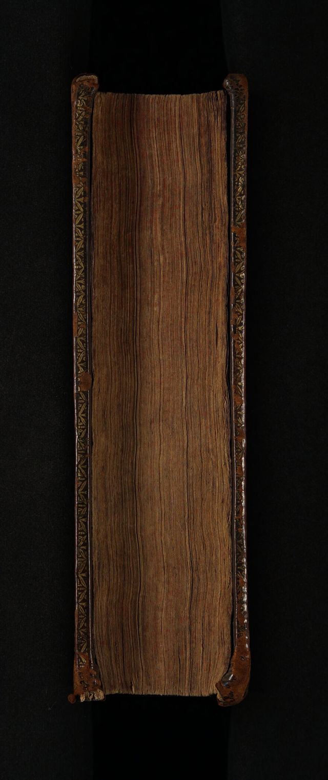 digitised image 3