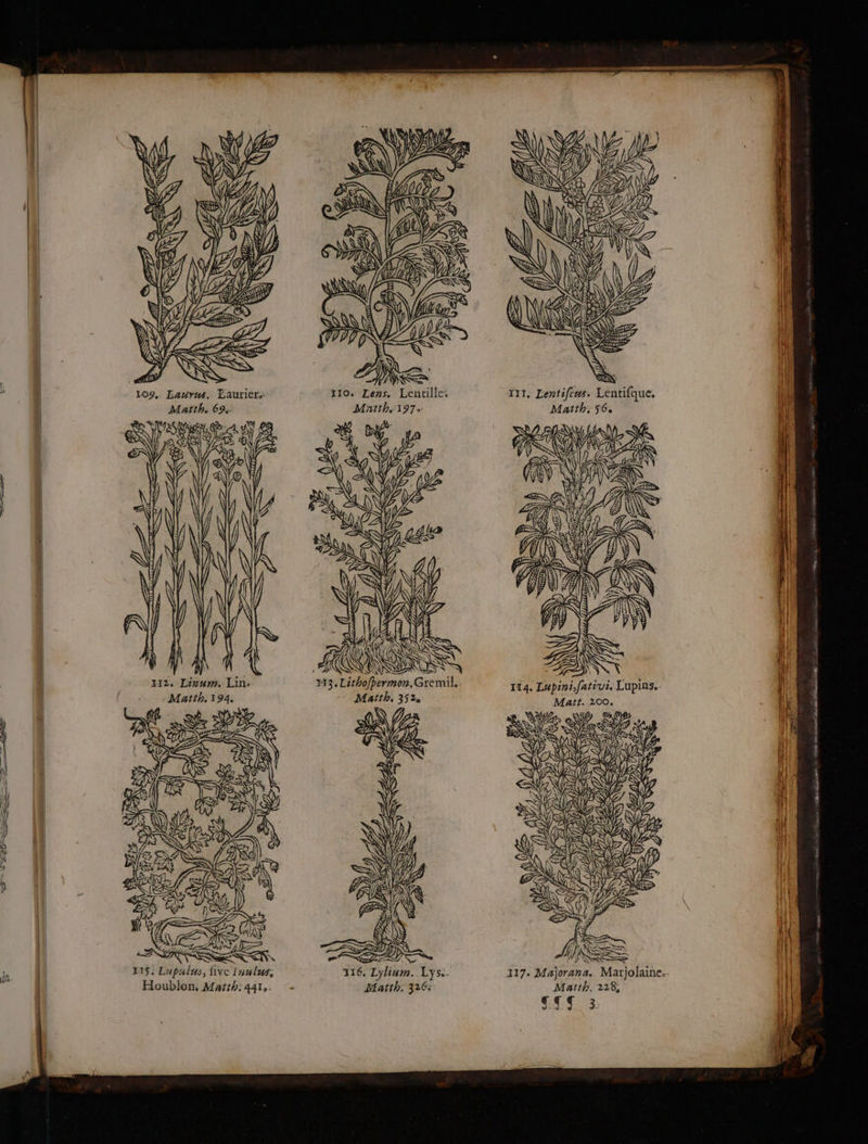 w f ) ER Lentille: =, Lea NS À ARR 116, Lylium. Lys. Matth. 326: Matth. 228, ess 3 |L 1 : ( ; HE ! À