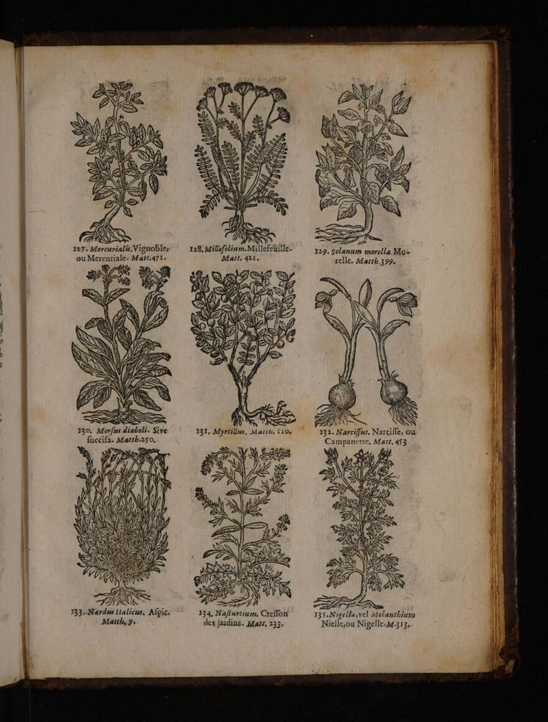 OO QE. EEE ; hs. NRC LA ! 327. Mercurialis Vignobles 129, Solanums morella Mo ik eu Mercuriale. Matt.471. relle. Marth.399. 4 A 1 ÿ Vi NN LE QE \ ÿ ï Lys » j) = N KR M / L BAR N AY 133. Nardus Lialicus, Afpic . 334. Nafturtinm. Creflon 135.Nigella,vel Melanthiurs * Matihn 9e des-jardins, Mars, 233: Nielle,ou Nigelle.24:313.