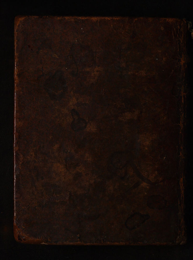 No text description is available for this image