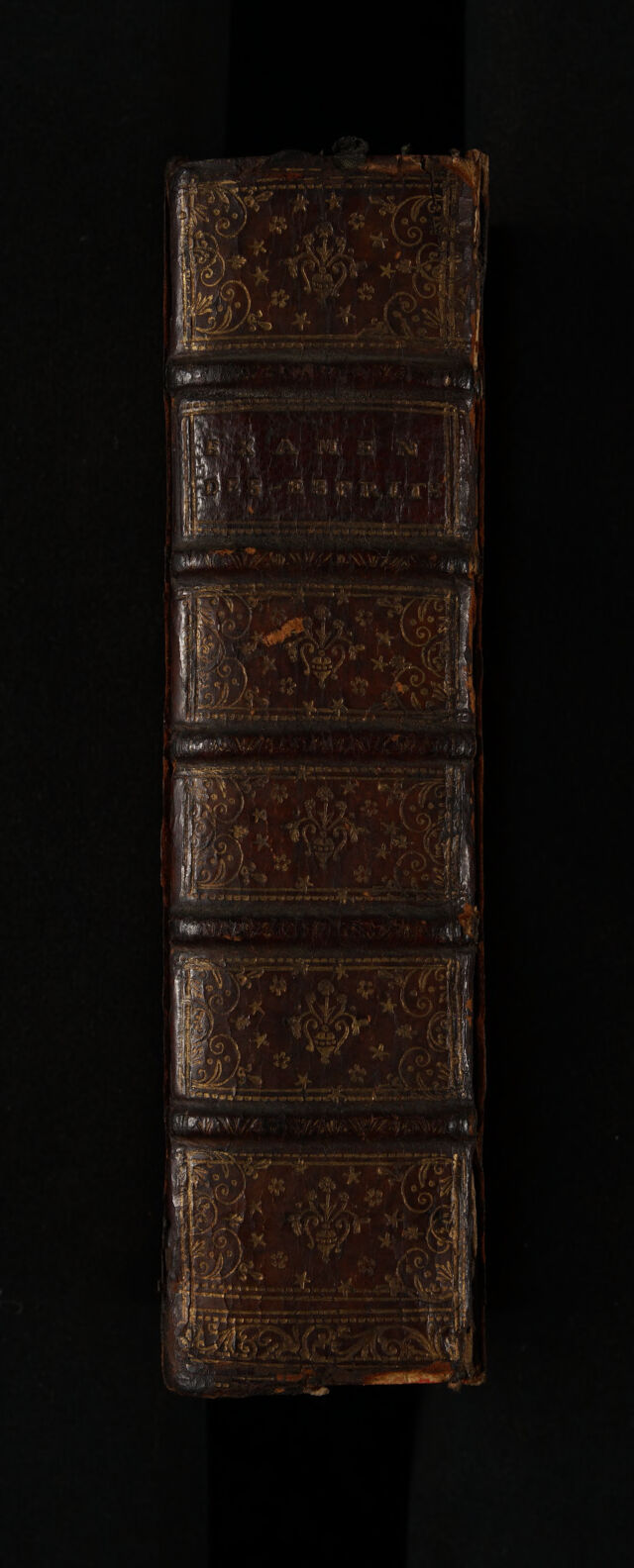 No text description is available for this image