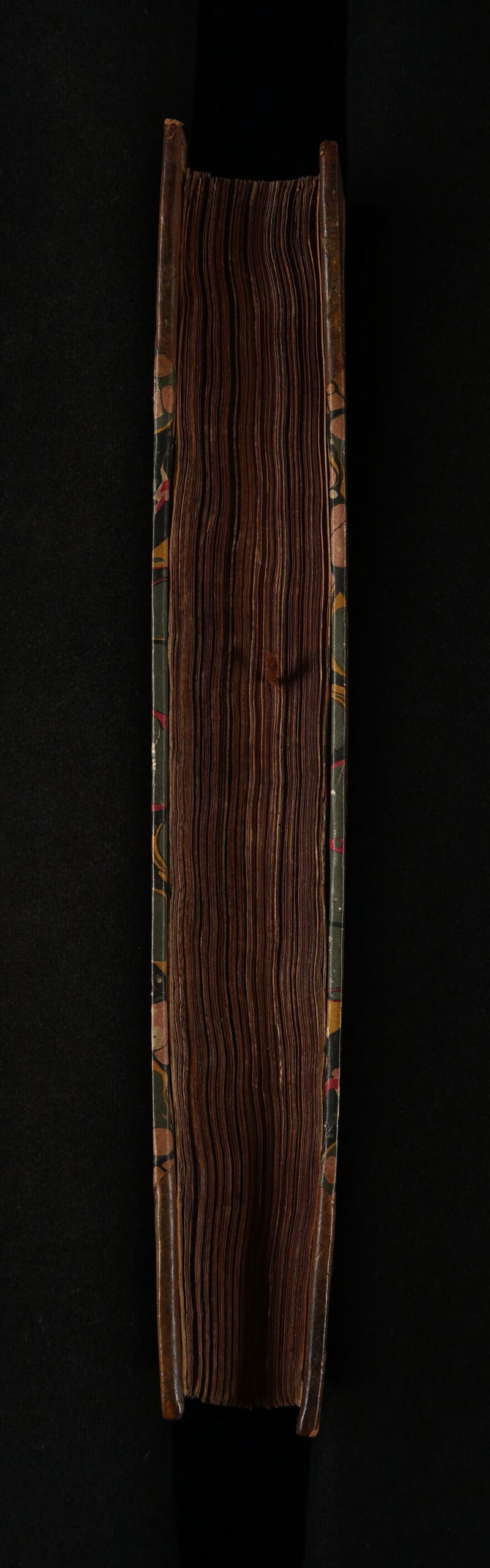 No text description is available for this image