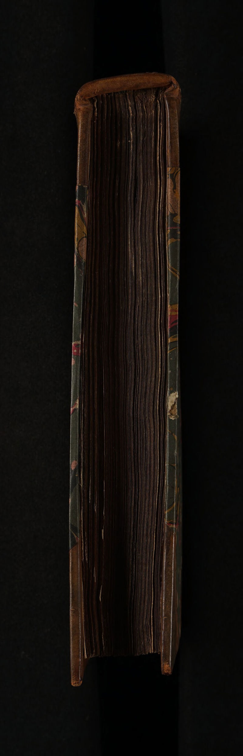 No text description is available for this image