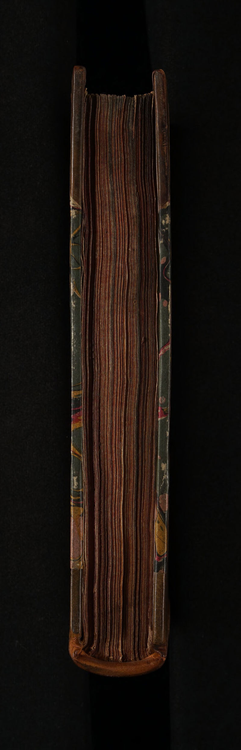 No text description is available for this image