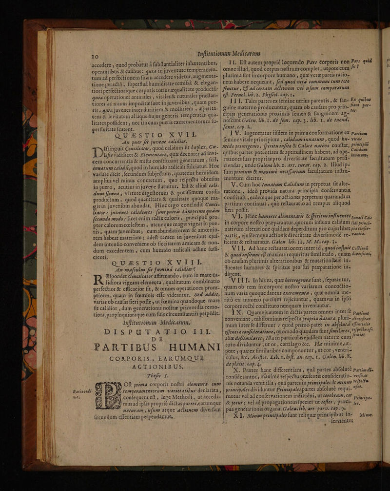 IO accedete , quod probatur à füb(tantialiter inharentibus, operantibus &amp; cafibus : quia in juventute temperamen- tum ad perfectionem fuam accedere videtur,augmenta- tione peractà , fuperfluá humiditate remifsá &amp; elegan- tiori perfcétiorique corporis totius aequalitate producti: qut operationes animales , vitales &amp; naturales prarftan- tlores ac mins impedita funt in juvenibus quam pue- ris : 447a juvenes inter duritiem &amp; mollitiem , afperita- tem &amp; levitatem aliaque bujus generis temperatas qua- litates poflident nec ita cum pueris excrementorum [ü- perfuitate catent. QUESTIO XVIL -4n puer fft juvene calzdtor. Iftinguit Concrlzatar, quod calidum fit duplex, Cz- Du. videlicet &amp; Elez:entare, qux decenter ad 1nvi- cem concurrentia &amp; mifta conítituant generatum , Ícil, | | apnatum calidiiquod in humido rádicali fulciatur. Hoc | variare dicit , fecundum fubjectum , quatenus humidum | amplius vel minus concretum , quo refpectu obtuius | inpuero, acutiusinjuvene ftatuitur, Eft &amp; aliud cals- dum fluens , virtute digeftorum &amp; potiffimum cordis , productum , quod quantitate &amp; qualitate quoque ma- gisin juvenibus abundat, Hinc ergo concludit Conci- lator : jtrvenes calidsores (nmt puera t4mprimo quam féemmdo modo: licet enim radixcaloris , przcipue pro- pter calorem cocletem , utcunque magis vigeat in pue- ris, quam juvenibus, cum abundatiorem &amp; amoenio- rem habeat materiam ; adeft tamen in juvenibus ejuf- dem intenfio conveniens ob ficcitatem amicam &amp; non- dum excedentem , cum humido radicali adhuc fuffi- Cienti, QUESTIO.XVIIIL n ma[culus frt femiea calidior* Efpondet Conciliator affitmando , cum in mare ca- | lidiora vigeant elementa , qualitatum combinatio | perfe&amp;tior &amp; efficacior fit, &amp; omnes operationes prom- | ptiores, quam in faeminis effe videantur, Se4 4d4;s, varias ob caü(as fieri poffe , ut foemina quandoque. mare fit calidior , dum generationis noftrae primordia remo- tiota, propinquioraque cum fuis circumftantils perpédit. Inflitutiónum -Medicarum, DISPUT AIO.III DE PARTIBUS HUMANI CORPORIS, EARUMQUE. AGTIONLBUS, T efrs I. uma corporis noftri. elementit: cum KO) e. reneperamentorum varietatibus declarata , 7 coníequens eft , lege Methodi, ut acceda- ji j mus ad ipías proprie dictas parzes,carumque ! naturam , ufum atque acisanem diverifam (ccundum cffentiam perpendamus,. b E Ratioordi n. NM SA SUP PD La II. Eft autem ptoprié loquendo 74r: corporis non Pers uid omne illud, quod corpus neftrum complet , utpote cum fii plurima fint in corpore humano , qua verz partis ratio- nem habere nequeunt , fed quod viz comuumt cum toto futur , CS ad certam aciioneza vel sum. comparatum eft. Fernel. lib. 2. Phyfiol. cap. 24 I I T. Tales partesex femine utrius parentis , &amp; (an- Ex quibua guine materno producuntur, quam ob caufam pro prin- duc per- cipiis generationis proximis femen &amp; fanguinem ag- n nofcunt Gzlez, jb. 1. de fem. kap. 3. lab. x. de tuend. [amst. cap. 2. I V. Ingeneratur iifdem in prima conformatione ex pay, femine vitale principium , calsdum eunatum , quod ha- vitale guido prisuigento , [ptritu infrto &amp; Calore matsvo conftat, principis quibus partes potentiam &amp; aptitudinem habent, ad ope- Culidum rationes fuas propriaspro diverbtate facultatum perá- NUMAE ciendas , unde G4leze l;b. 2.. avt. curat. cap. 2, lllud ip- fum primum &amp; maximé nece[Jarium facultatum inftru- 4nentum dicitur. V. Cum hoc Izz4tum Calidum in perpetua fit alte- ratione , ideó provida natura principia con(ervantia conftituit , eademque per actiones perpetuas quarundam partium continuat ; quo reftauratio ad tempus aliquod fieri poffit. . VI. Hinc hapaoves alumentarii &amp; fpsritua snfluentet v, i eaa in corpore noftro praparantur,quorum influxu calidum j;4; princi- nativum alteratione quádam deperditum pro cujuslibet piacosfer- partis,, ejufdemque actionis diverfitate diverfimodé re- Y4»«. ficitur &amp; reftauratur. Galem. l4b. 11, M. M. cap. 5» VII. Ad hanc reftaurationem inter id , quod influit Coclioni &amp; quod tn[rrum e[] maxima requiritur fimilitudo , quam diverfizas, ob caufam plurimis alterationibus &amp; mutationibus in- fluentes humores &amp; fpiritus pro fui praeparatione ins digent. V I I T. Inhisea, que bererogezea funt , feparantur, quam ob rem in corpore noftro variarum concoctio- num varia quoque dantur exerezezta , quz omnia me- ritó.ex numero partium rejiciuntür , quamvis in ipfo corpore recte conítituto nunquam inveniantur. I X. Quamvisautem in di&amp;is partes omnes intere pj; conveniant , nihilominusrefpectu propria matur a, pluri- diverftas mum interfe differunt * quod primo patet zz abfolutd effentsalia effenti confrderatione, quomodo quadam funt ffmilares,  d phpaeg- alie dafSzaslares ; 11 ain particulas ejufdem natur cum f^ toto dividuntur ,ut os, cartilago &amp;c. Hee minimé,ut- pote ; qua ex fimilaribus componuntur , ut cor ; ventris culus, &amp;c. Zvifloz. Lab, x, bif]. am. eap. 1. Gale. lib.8. de plctt. &amp;Ap. 45 X. Prater hanc differentiam , quà partes ab(oluté parrip di- €on(iderantur , maxime re(pectu pracfentis cohfideratio- veritas nis notanda venit illa ; quá partes in principales &amp; minus ve[pccin principales dividuntur Prizespales partes abfoluté requi- MN runtur vel ad confervationem individui, ut cerebrum, cor pieipa- &amp; jecur vel ad propagationem fpeciet ut zefles, przci- j,,. pua generationis organa. Gales, lib, art. pavo. cap. 2« X ]. Minus principales funt xeliqua principibus in- Íervientes Minis: GRNDEET C