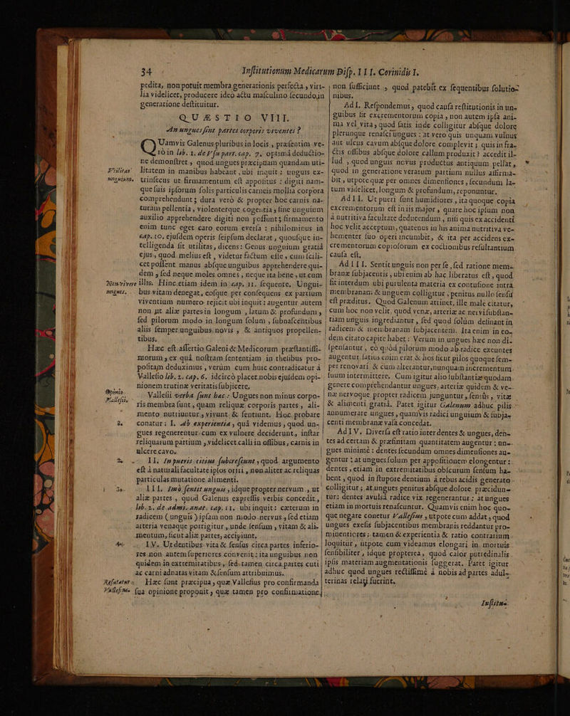pedita, non potuit membra generationis perfe&amp;ta , viri- lia videlicet, producere ideo au mafculino fecundojn generatione deftituitur. QU/ZESTIO- VIL. dn ungues fent. partes corporis viventes ? (9s Galenus. pluribus in locis , pra(entim .ve- roin [z5. 1. de F'fn part.cap, 7. optimá deductio- ne demonftret , quod ungues praecipuam quandam uti- non fuffciunt , quod patebit ex fequensibus folutio- nibus. » AdI. Refpondemus , quod caufa reftitutionis in un- guibus lit excrementorum Copia , non autem ipfa ani- ma vel vira; quod fatis inde collieitur abfque dolore plerunque renafcrüngues : at vero quis unquam vulnus aut ulcus cavum abíque dolore complevit ; quis in fra- Cus ofhbus abfque dolore callum produxit ? accedit il- lud , quod unguis ncvus próduetus antiquum pellat , que fuis ipforum folis particulis carneis mollia corpora comprehendunt; dura veró &amp; propter hoc carnis na- turam pellentia , violenterque cogentià 5 line unguium auxilio apprehendere digiti non. poffunt firmamento enim tunc eget caro eorum evería : nihilominus in &amp;4p..1O, ejufdem operis feipfum declarat , quoufque in- tclligenda fit utilitas , dicens: Genus unguium grati ejus, quod. melius eft , videtur factum efie , cum (cili- cet pof[znt. manus abíque unguibus apprehendere qui- dem , fed neque moles omnes , neque ita bene , ut cum DAEHES, Bpinio Falle. bus vitam denegat, eoque. per confequens. ex partium bit ; utpotequz per omnes dimentioncs , fecundum la- tum videlicet, longum &amp; profundum, Icponuntuür. AdIl. Ut pueri funt humidiores , ita quoque copia excrementorum eft iniis major , qnare hoc ipfum non. hoc velit acceptum, quatenus in his anima nutritiva ve- bementer fuo Operi incumbit, &amp; ita per accidens ex- crémentorüm copioforum ex coctionibus refültantium caufa eft, Ad LL I. Sentit unguis non per fe , (ed ratione meme branz fubjacentis , ubienim ab hac liberatus cft , quod fitinterdum ubi purulenta materia ex contufione Intra membranam &amp; unguem colligitur , penitus nullo fenfu fed pilorum modo in longum folum , fübnafcéntibus | aliis femper unguibus. novis , &amp; antiquos propellen- | tibus. ; — Hac eft.affertio Galeni &amp; Medicorum praftantiffi- mjorum ex quà noftram fententiam in thetibus pro- pofitam deduxinus , verüm cum huic contradicatur à Vallefio Ib. 2. cap. 6. idcircó placet.nobis ejufdem opi- nionem trutina veritatisfubjicete, Vallefii verba. (ant bac.: Ungues non minus corpo- ris membra funt , quam reliqua corporis partes , ali- mento nutriuntur; vivunt. &amp; fentiunt. Hioc. probare conatur: L. 445 experientia , quà videmus »quod un- | gues regenerentur.cum ex vulnere deciderunt,, inftar | reliquarum partium , vidclicet.calliin offibus , carnis in. ülcere cavo. pis | ll. £mpneris estima: fabere(eunt y quod. argumento eft à naturali facultaté ipfos orti , nen aliter ac.rcliquas. particulas mutatione alimenti. lll, zm fentit unguss , idque proprer nervüm., ut aliz partes, quod Galenus expreffis verbis concedit , lib. 2. de admi. anat: cap, 11, ubi inquit: czterum in jadicem ( unguis ) ipfam non modo.nervus ? fed etiam | aiteria venaque porrigitur ,.unde fenfum , vitam &amp; ali- inentum, ficut aliz partes, accipiunt, LV... Ut dentibus-vita &amp; fenfus circa partes. inferio- ;ies.non. autem fuperiorcs convenit; Ita unguibus non. quidem in extremitatibus , fed. tamen circa partes cuti | ac carniadpatas vitam &amp;fenfum attribuimus. Hzc funt pracipua ; que Vallefius pro confirmanda tiam unguis. ingrediantur , fed quod folüm detinant in radicen; € membranam fubjacentem. ltaenim in eo- dem citato capite habet : Verum in uügues hzc non di- Ífpenlantur, eó quód pilorum modo ab.radice exeuntes perrenovari. &amp; cum alterantur, nunquam incrementum fuumintermittere. Cum igitur alio fubftantiae quodam genere comprehendantur ungues, aiteriz quidem &amp; ve- nz nervoque propter radicem junguntur fensüs , vitae &amp; alimenti gratid. Patet igitur Galenum adhuc pilis annumejare ungues , quanivis radici unguium &amp; fübjas centi membranz vaía concedat. AdIV. Divería eft ratio interdentes &amp; ungues, den- tes ad certam &amp; prafinttam quantitatem augentur ; un-- gues minimé : dentes fecundum omnes dimenfiones au- gentur ; at ungues folum per appofitionem elongentur: dentes , etiam in extremitatibus obícurum fenfum ha- bent , quod in ftupore dentium à rebus acidis generato - colligitur ;.at.ungues penitus abíque dolore. przcidun- etiam in mortuis renafcuntur. Quamvis enim hoc quo- que negare conetur Zl/effzes , utpote cum addat , quod miDenticres ; tamen &amp; experientia &amp; ratio contrarium - loquitur , utpote. cum videamus clongari in. mortuis fenfibiliter , idque propterea , quod calor putredinalis ips materiam augmentationis fugeerat. Paret igitur adhuc quod ungues rectiffimé à nobis ad partes adul-. In (frites Pl M Coni Yt ' hr.