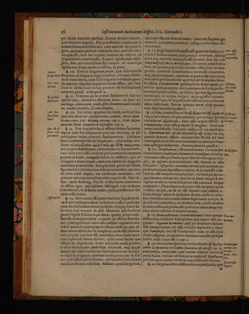 sommes i ni per etiam naturalis partium illarum ficcitas infervit qua unionem impedit. Duo potiffimum requiruntur in unitate foluta confolidanda? calor satzvzs. tanquam a- gens , quia unio partium folutarum non artisícd natu- 12 opus eft , licer hac in parte naturam ars adjuvet ,in impedimentis removendis , &amp; pareés affecla jufta de[Pa- dft? fine quà confolidatio fieri nequit. At utrumque delideratur aliquo modo in offibus, ut patet. Bats $.10. Cont fanguinez partes , quz aliás carno(z fangeine. dicuntur; ex (anguine magis conftant , ideoque calidio- res &amp; humidiores, unde facili negotio coalefcunt,quan. Ci? c4- do materia difpofita (anguis nimirum affluk qui faci- kfci- — lime in fubftantiam harum partium ob fimilitudinem converti poteft. 74e qu«[t. 4. quitité tales fecundum effentiam fuam , ut funt: es, cartilago, alimentum, tendo, Jer. humores oculi vtven- £65, cerebri viedulla , C9. caro femplex. ,Ad* fen- $.12. Vel folum apparent fimilares , unde ad fen- fwm [imi-. (am tales dicuntur , ut funt veza , ar£eras , mexus onem Exquifità fimilares uentem Thad. Dunum in Mifcellam.cap. 4. Cur. abof-.— $.13. Nos inpra(entia ab offibus initium faciemus, fibus inci» utpote cum fint reliquarum partium omnium , &amp; per pendunt coníequens totius. corporis fundamentum . Ordinem hunc cenfirmare videtur Hippocrates , quià codem atte- ftante 74 exeat sotaiv. sod ep3omo x94 eid» TIU ÉL OKT? toti corpori ftabilitatem, rectitudinem &amp; formaniexhi- bent. Sunt enim offa tanquam pali io tentoriis,tanquam figuram fuá conformatione fefe accommodant,quo mo- primum calvariz rotunditas nobis.cognita fit. Nec ob- de offibus agat , quiaipíemet diftinguit inter ordinem fcientificum , &amp; ordinem fenfus ; quem potiffimum fefe obfervaíle (cribit. | Ojffiqudt — $. 14. Suüt autem offa partes fimilares fioi &amp; fic- cz &amp; per confequens durz, ex feminis craffiori parte ge- nitz, ut toti fundamentum praftent ; ejufque motui in- ferviant, Gal, 17 pranc. de ofssb. Dicuntur offa fimilares partes frigide &amp; ficcz atque durz: quibus proprierati- bus effentiale principium tanquam ab effectis defcribi- tur : prefüapponimus enim ofla conftare vegetativá ani- máin fpiritu &amp; calore proprio offium ipfidente, qua of- fium natura abfolvitur &amp; completur, unde offa mortuo- rum proprie non fuat offa quemadmodum homo mor- tuus xquivoce homo dicitur , quód mens forma ejus cfientislis, feparara tit. Loco materialis caufa ponitur craflior feminis pars, quod. Egpp. etta lib. mie 2po d? 22:2:45£, ubi offium materiam ftatuit portionem feminis, terream &amp; pinguem. » quatenus terrea portio per fe fola mipiméfufficitad foliditatem , nitj beneficio vifciditatis cujufdam ftenue cohxreat. | Additur, quod fint genita; ubi caufa efficiens determinatur, nimirum facultas ge- neratrix, quz: totüm producit : reliqua verba finem de- terminant, $. 15. Ergó duplicide cauffa offa generata funt,ut to- Cw offa tius fint fundamentum, ejufas motui inferviant, idcirco 4 € plura atq; inter (efe conjuncta effe decebat, Gal. l5.1. de fto pe tà mufc.e Ib. ya. de Vf part. Ut natura nihilfruftra 4C1t, It4 quoque procreatrix facultas ofla folida ac dura genutt ; quatenus fundamentum totius effe debuerunt, eàqs plura copjunxit., ut totum ac partesejus ad morum animalem pro intentione appetitus perficiendum habi- les cflent. Pzccolomsezes quintüplicem finem: ponit; ni- Qvints- mirum quod propterea fint contributa ut ftabiliant fir- //ex ffs mentque partes molles ; ut iidem fpeciem figuramque leap ullani füftineant. Verum iplemet autor alios pruna- 11os, alios (ecundarios afferit. $ 16.Hac conjunctio vel fit u d59poy vel d evuQua» pigaas: vel per articulum, vel per coalitum : prioriduas fpecies tia conjun- concedimus AjgpSpaa» , cum ofla largius diftant : &amp; eni, cvitudp3punw cüm offa proximé fe tangunt : illud cum motu manifeftofit : hoccum nullo, vel vix a(pe&amp;tabi- li-. Netapdum hác ; quod conjunctio x? 4,950» fit illa; quando. duorum: offium | extrema fee ftricté vel laxe contingunt;ita utibi.non immediaré continua;fed tan- tüm conti gua reddantur... Cazerz patent ex quad. 6. s$s 17. Auapopazeas (dearttculationss) tres funt fpe--A as; lpar- cies,nimirum bap paaxc (Anayticil atio s1nfeenz )cünm ca- ez, vitas unius offis profunda caput alterius oblongum reci- pit, ut. apparet exarticulatione offis femoris &amp; offig líchiadici.: 2£9pola ( avesculatiolevis) cum cavitate fu- perüciaria caput depreffius recipitur, ut in maxillà infe- rioriab offe temporü recepta patet : vcl denique 5&amp;yAv- pas (mutua. articulatio ) quando-os idem excipit &amp; ex- cipitur ut fefe invicem fubintrent offa continua: Fitque tripliciter 3, Cum idem os abunico offe excipitur,quod. vicifim excipit , ut fit in offe humeri cum cübito. 2. Cum excipit unum &amp; excipitur ab alio, ut fit in verte- bris. Vertebra enim medio fedens füperiorem excipit, &amp; ab inferiore excipitur.3.in modum rotz , ut eft vertebra fecunda colli cum prima, ubi quali circa axem unius ver- tebra altera volvitur &amp; circumrotatur, . $.18. ZououpSpurters ( coarticulationis) tres quoque differentiz, nimirum Tau fatura,quá capitis offa jun- guntur: 'Apuova barmonta , quà per fimplicem lineam oífa componuntur , ut offa maxilla fuperioris t. deni- que Gozpbo/zs, hoc eft Conclavatio cum os offi clavi modo infigitur, ut apparet in dentibus maxillis utrifque infixis. 4de Lawr.lib. 2; cap. s. $- 19. His duabus fpeciebus conjun&amp;ionis x7 255950» Neutra fes. addst Lasyentius ex Galeni. fententia lib. de off. CAp. [3, 4nceps. are neutram (éa. Antipitem , quz ratione obfcuri- motus ad tirnlde qupd, Srpeiiy ratione cavitatum ac capitü ad Aas9swen L' pw pertinet,qua ratione vertebrz cum coltis articulantur, $. 20. Sequitur altera differentia conjunctionis; que j pf À fr duplex. ZEE XC l  ni l [95 —4