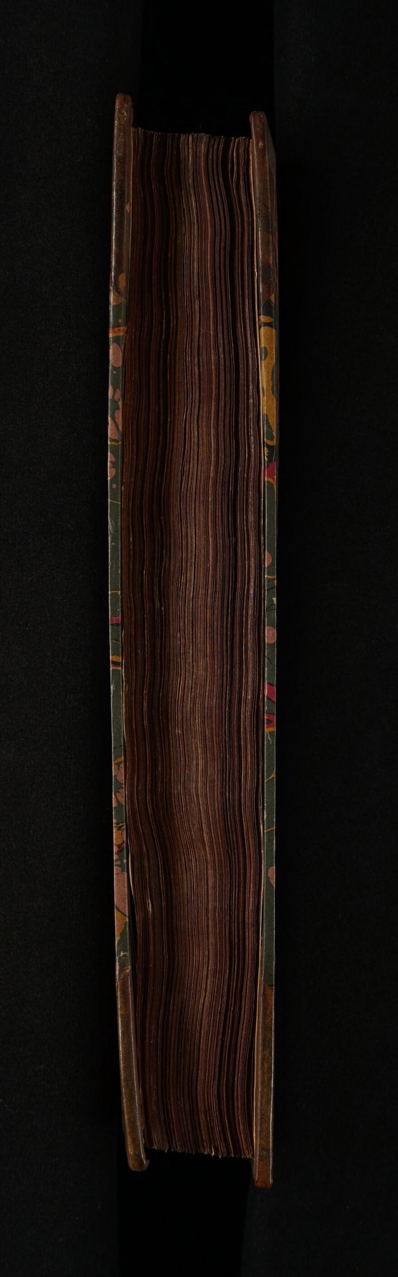 No text description is available for this image