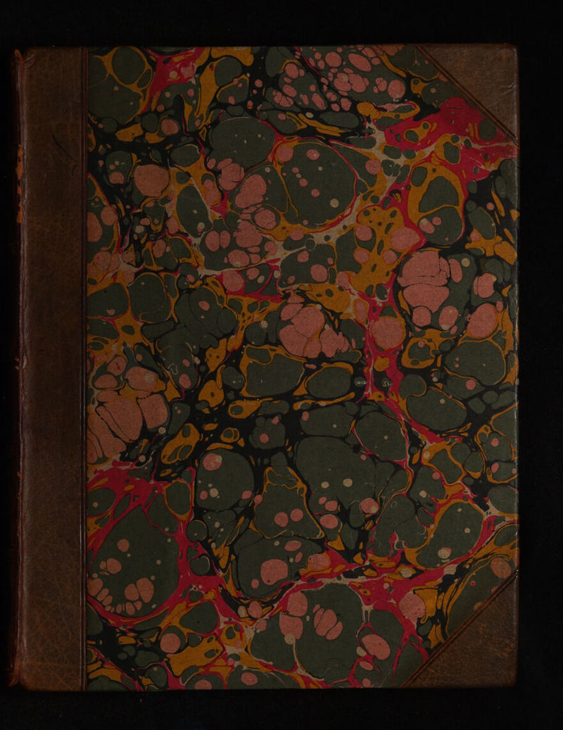 No text description is available for this image