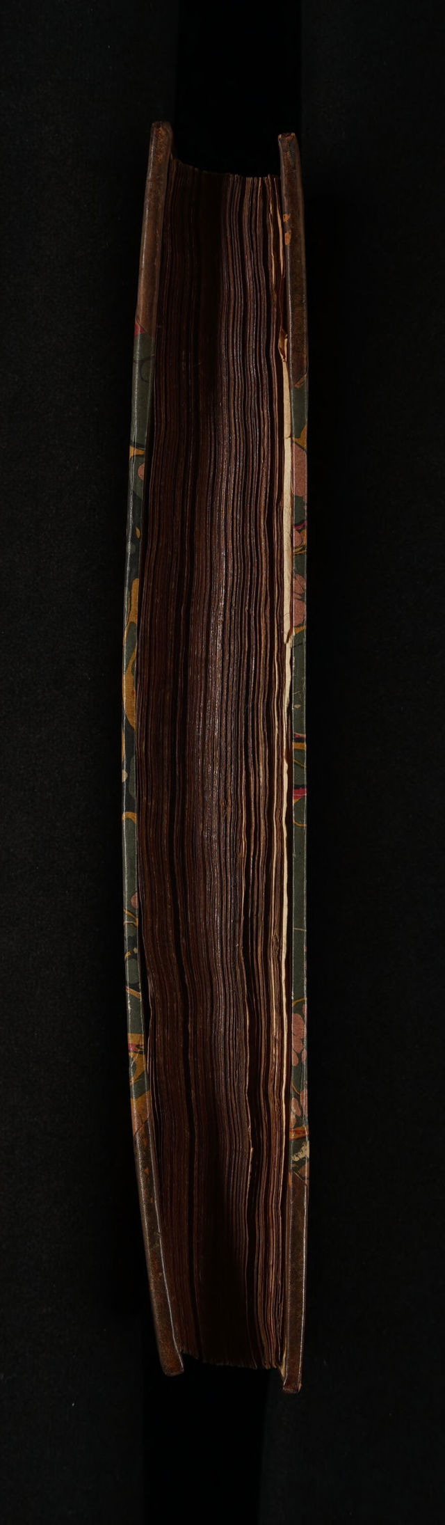 digitised image 3